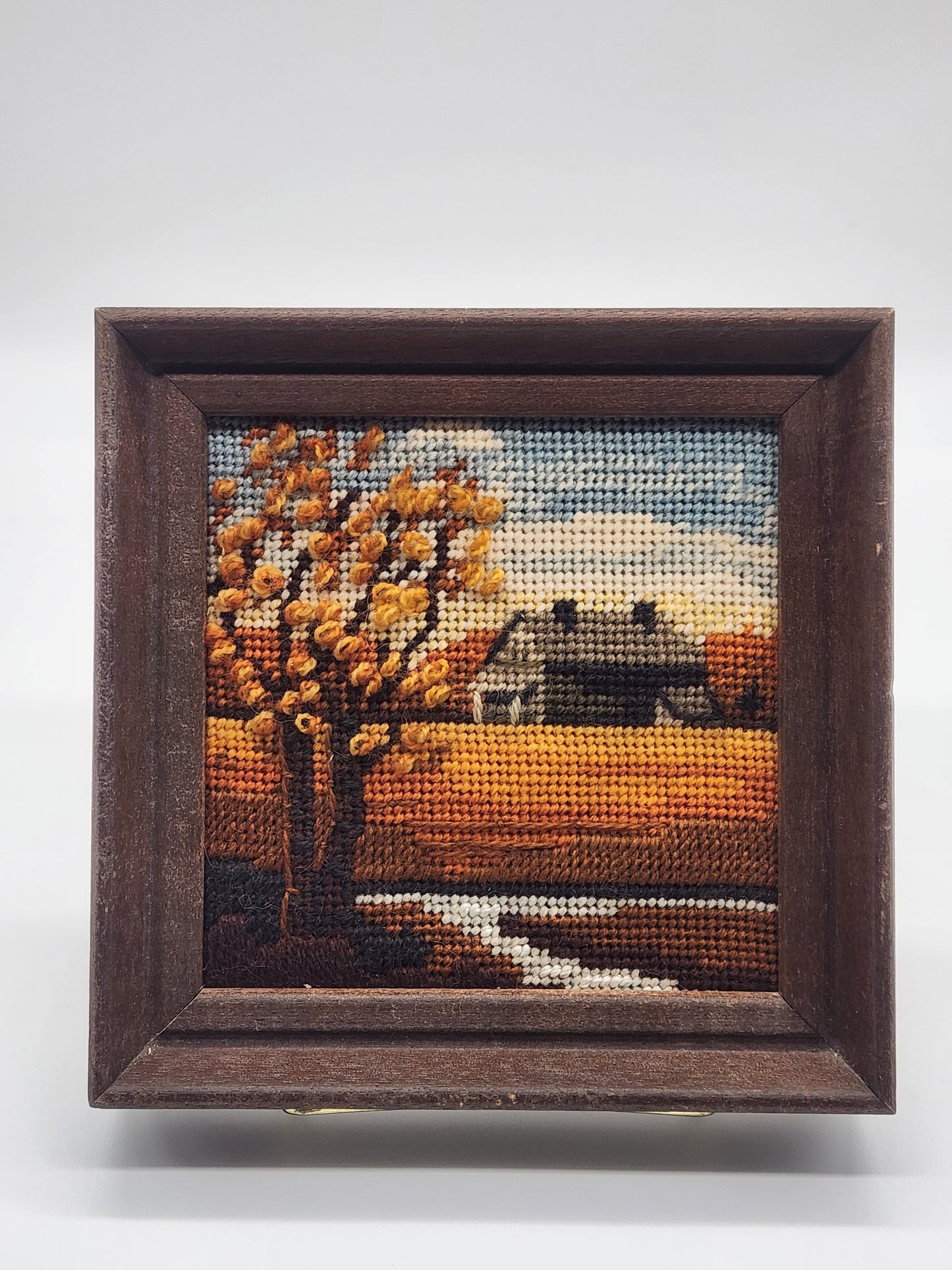 VTG Vintage Framed Needlepoint Embroidery 6x6”