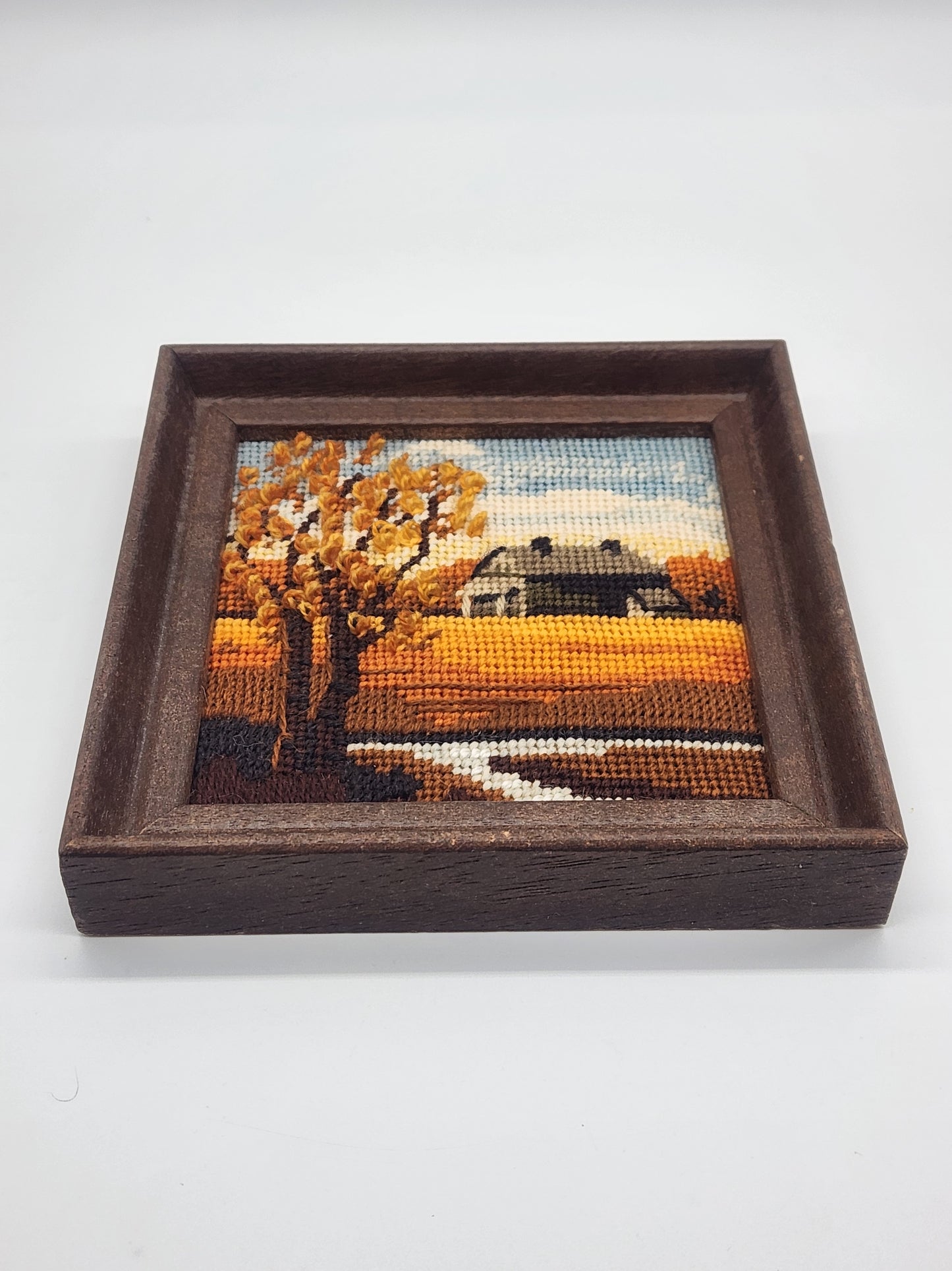 VTG Vintage Framed Needlepoint Embroidery 6x6”