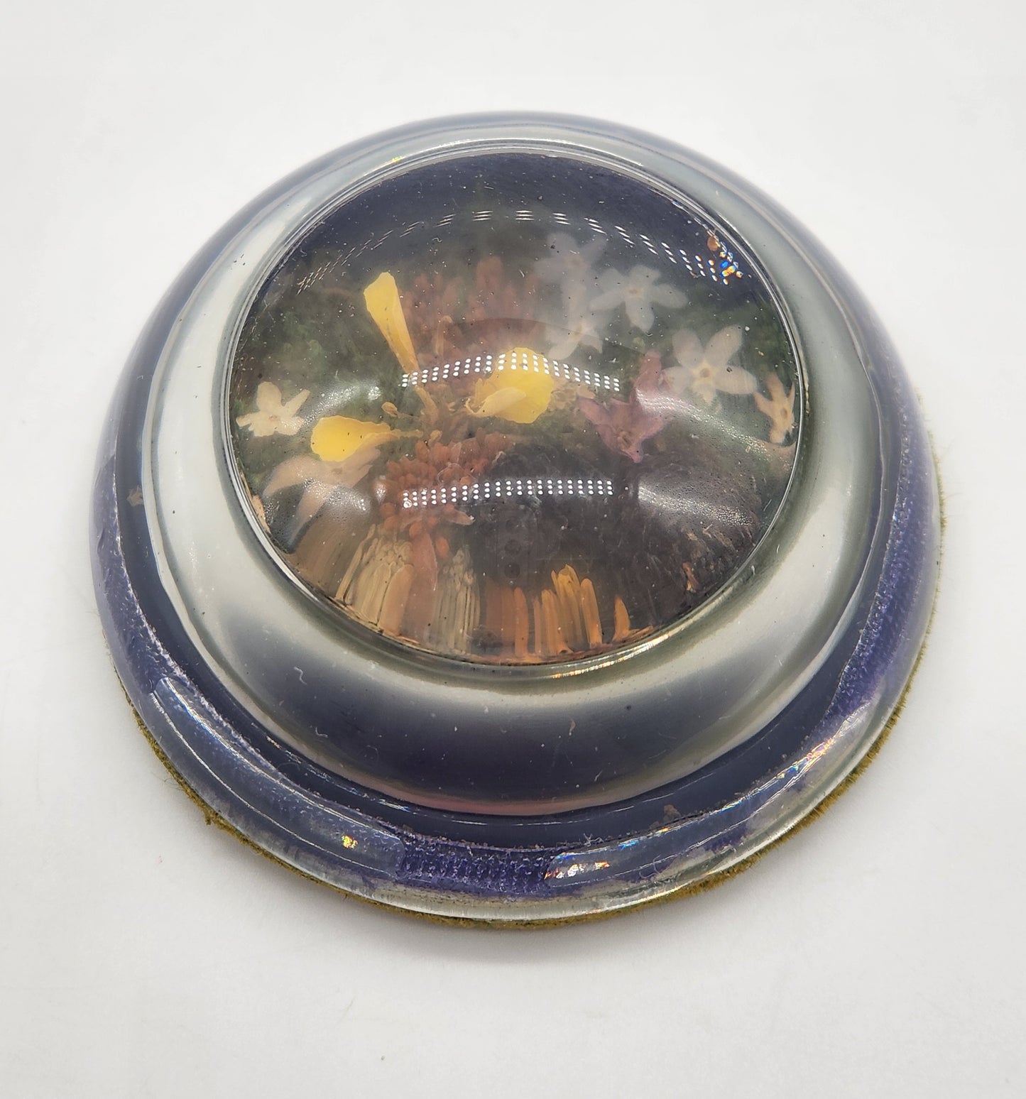 Vintage half dome glass paperweight - plants, flowers, pine cones 3"