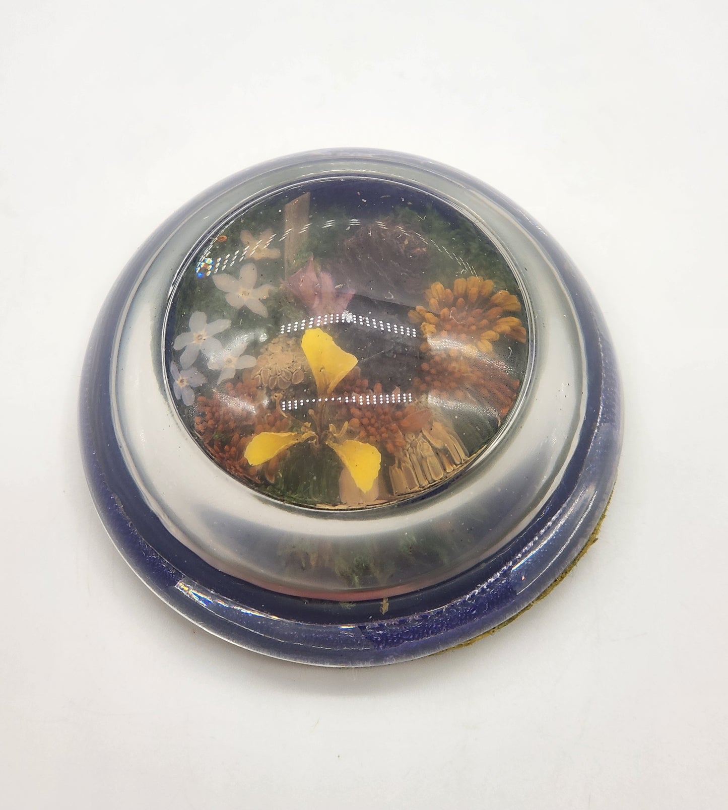 Vintage half dome glass paperweight - plants, flowers, pine cones 3"