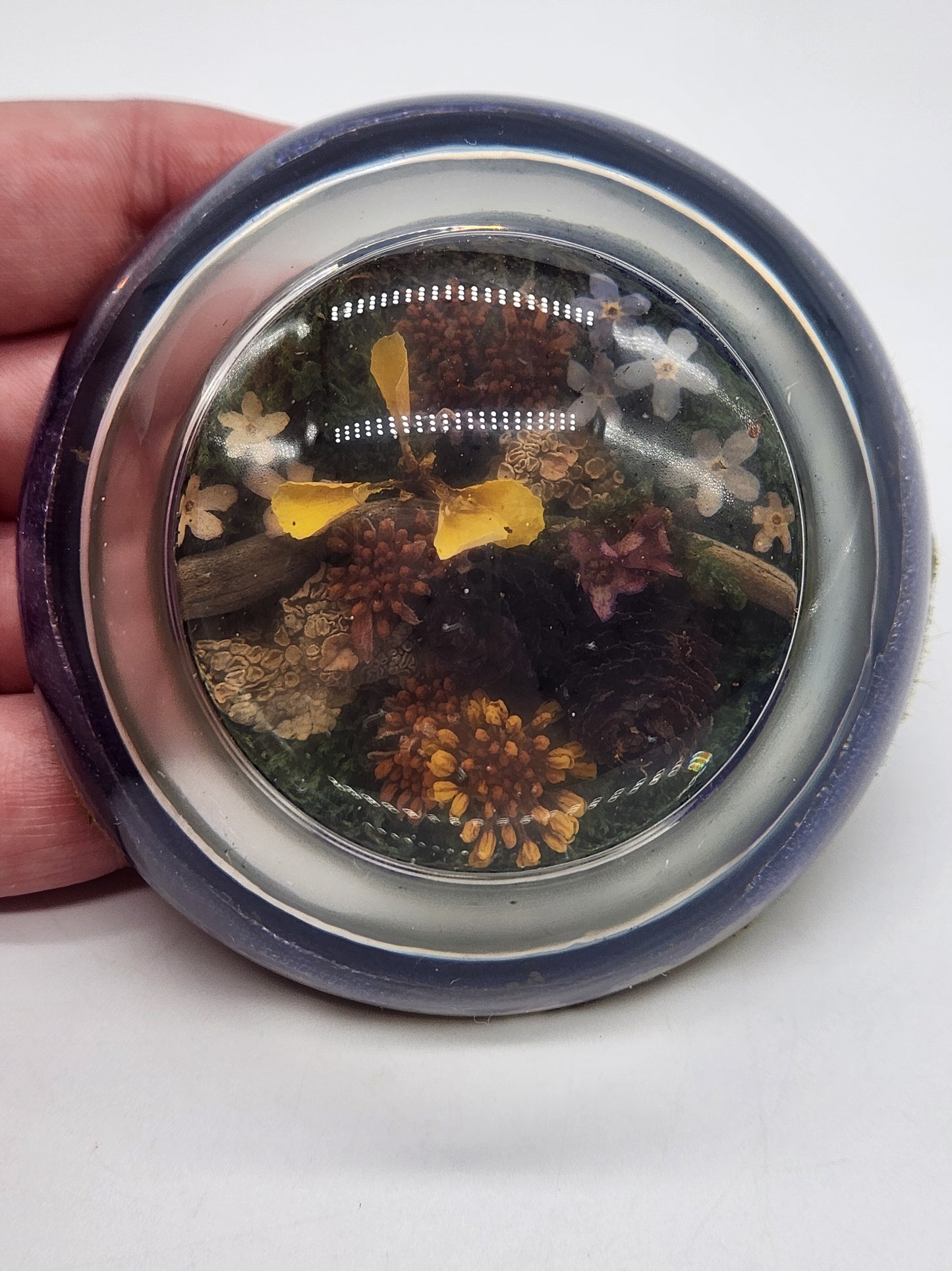 Vintage half dome glass paperweight - plants, flowers, pine cones 3"