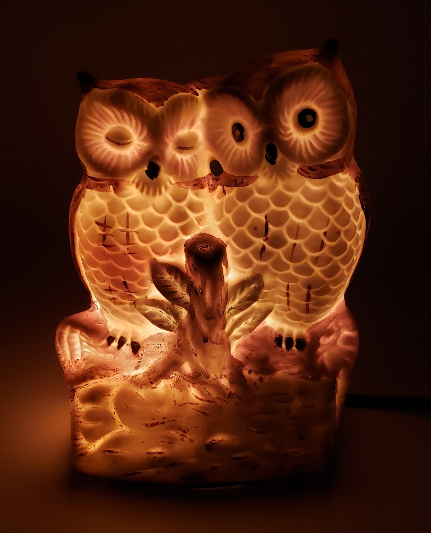 Owl Loving Couple light