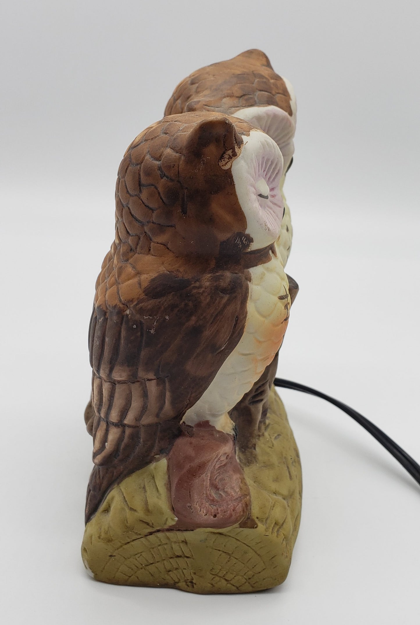 Owl Loving Couple light