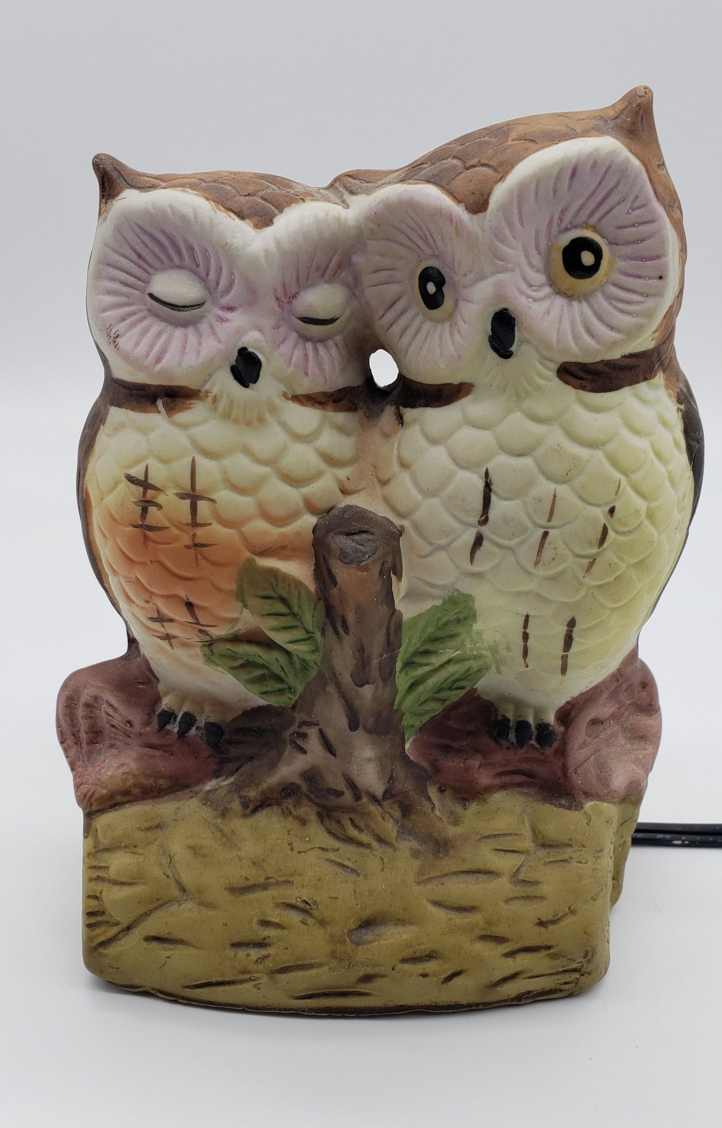 Owl Loving Couple light