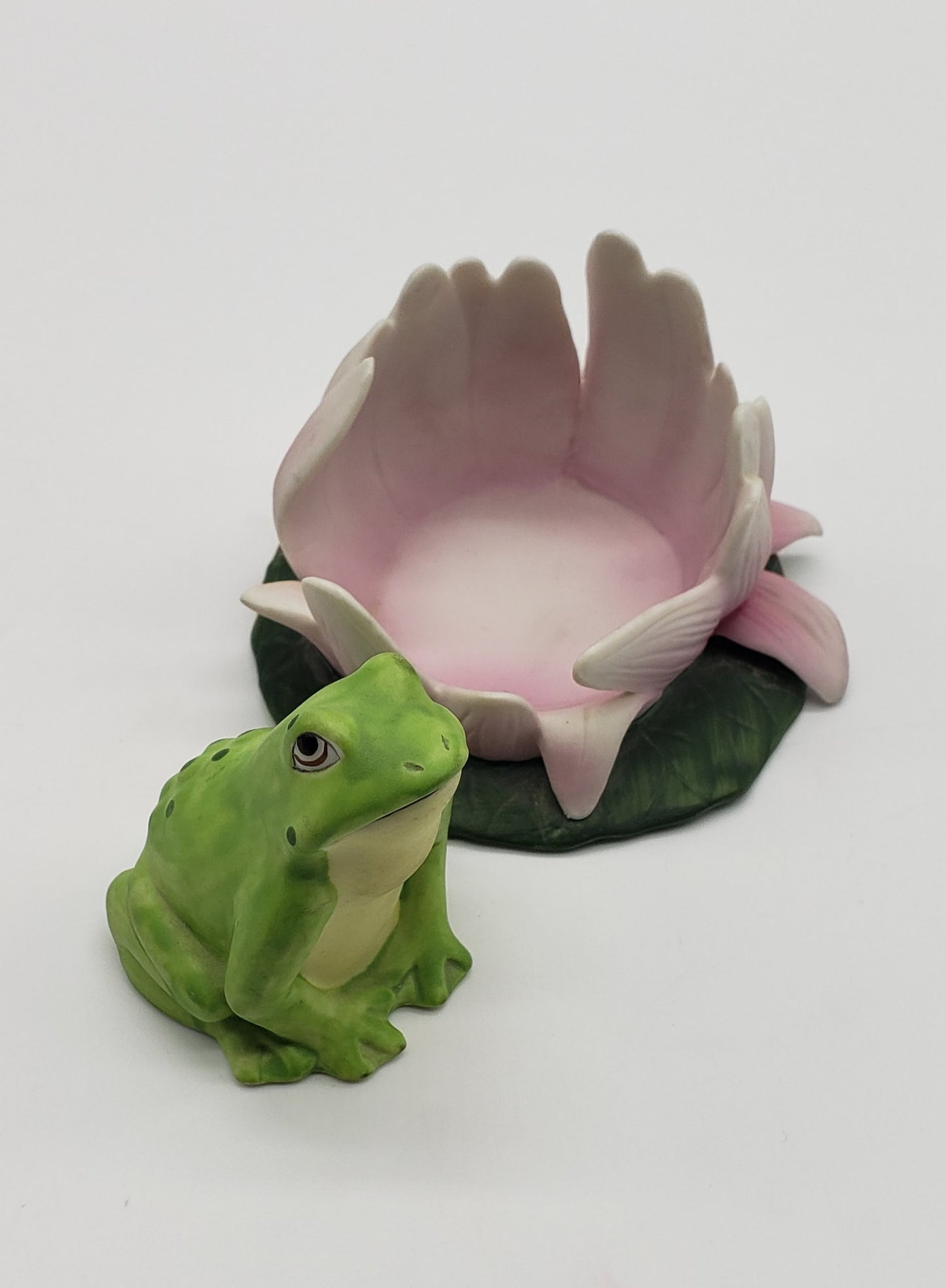 Woodland Surprise - Frog