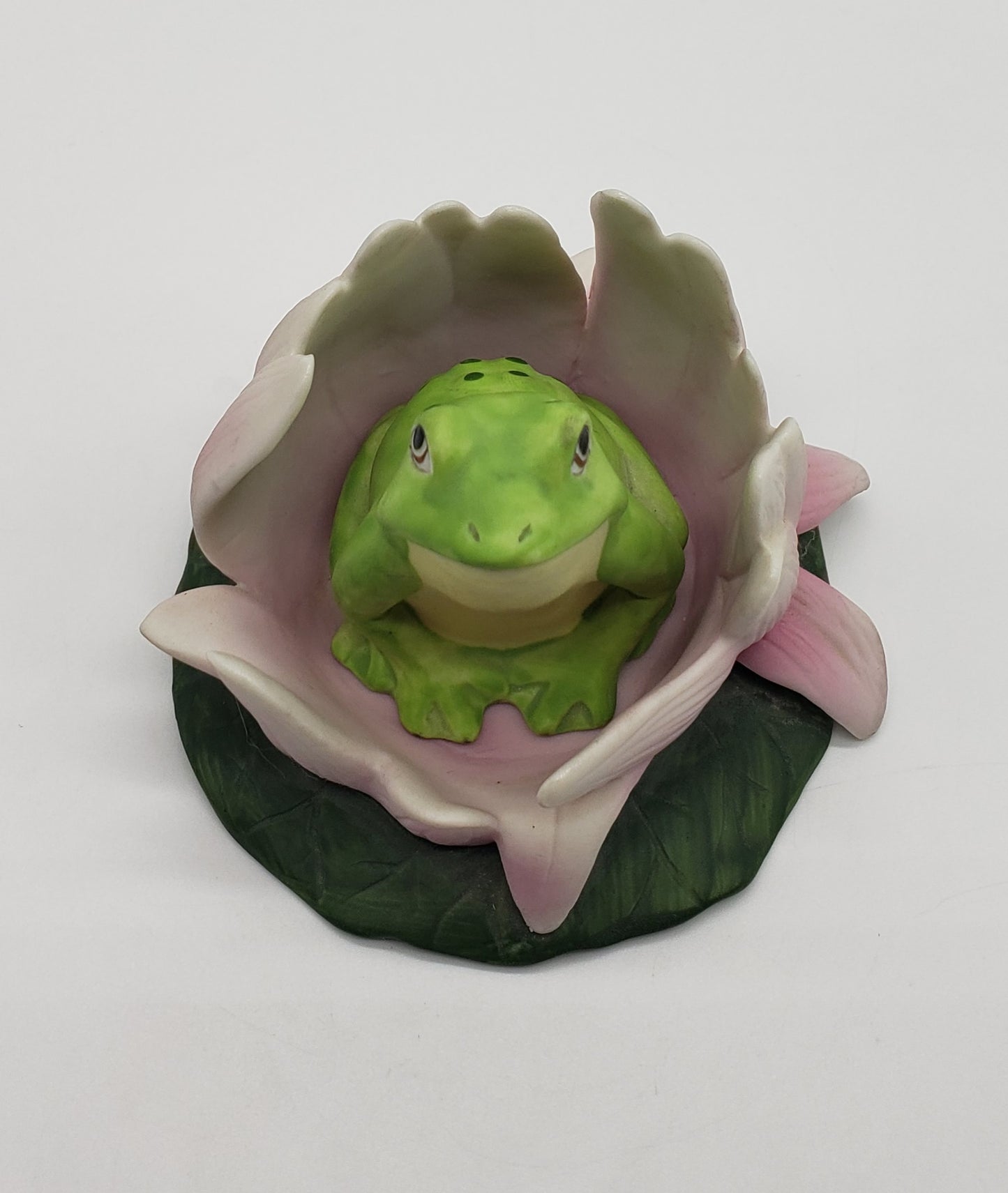 Woodland Surprise - Frog