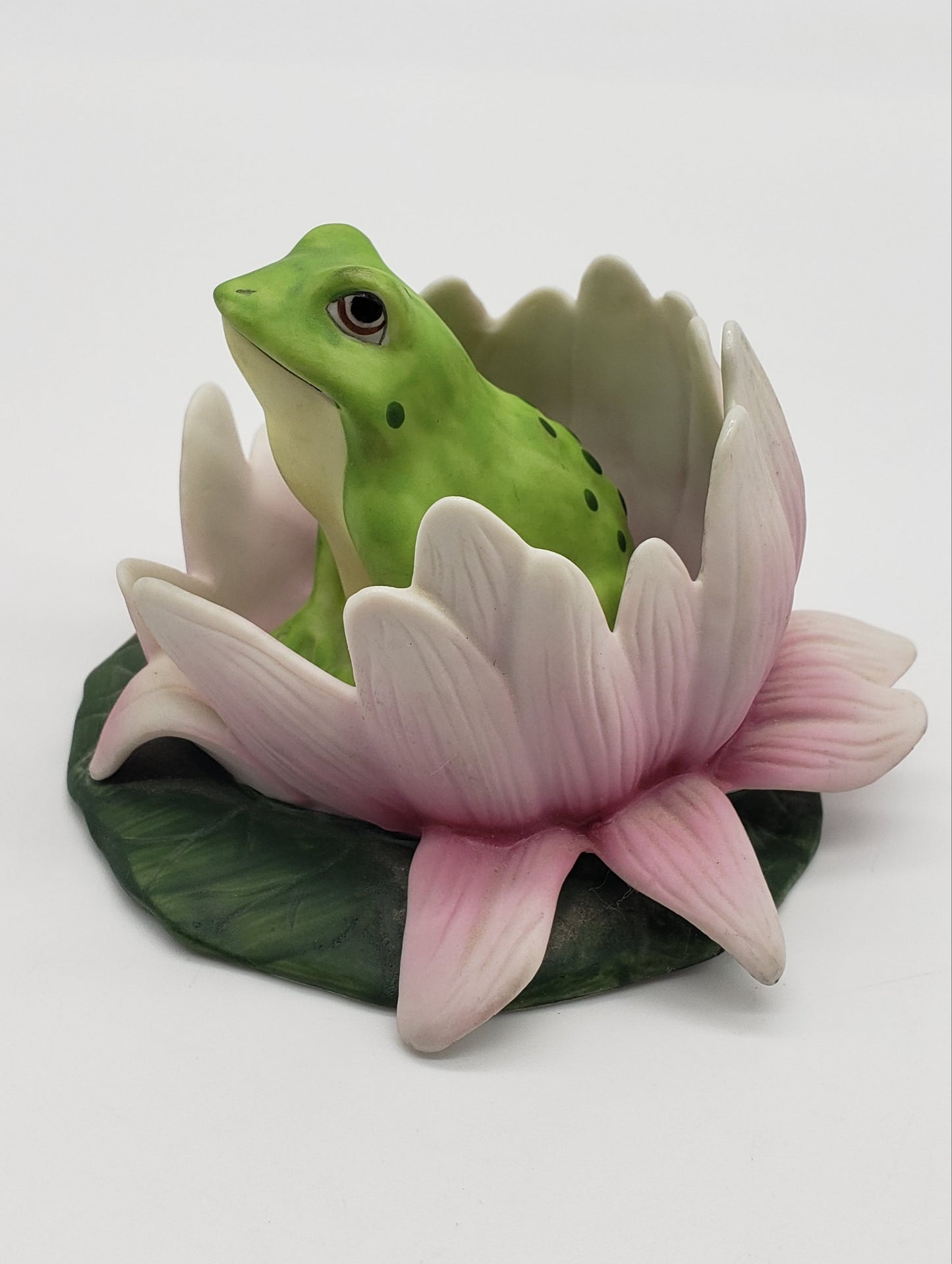 Woodland Surprise - Frog