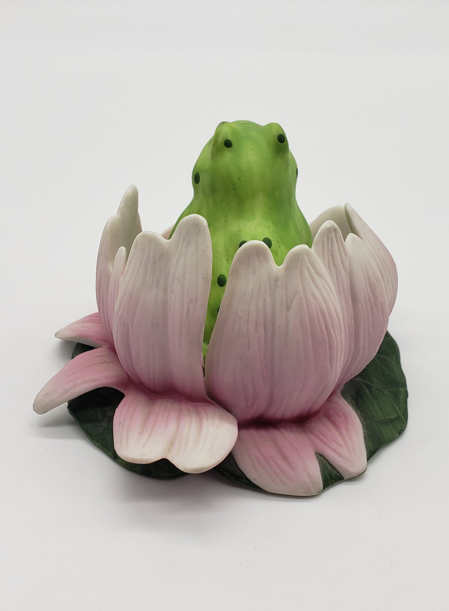 Woodland Surprise - Frog