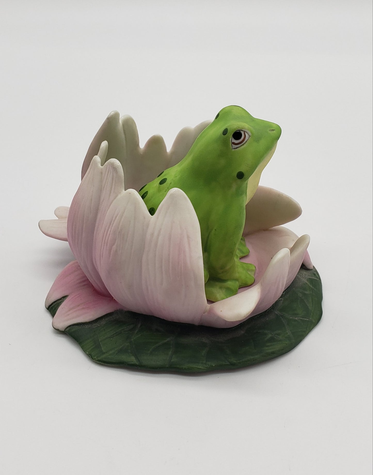 Woodland Surprise - Frog