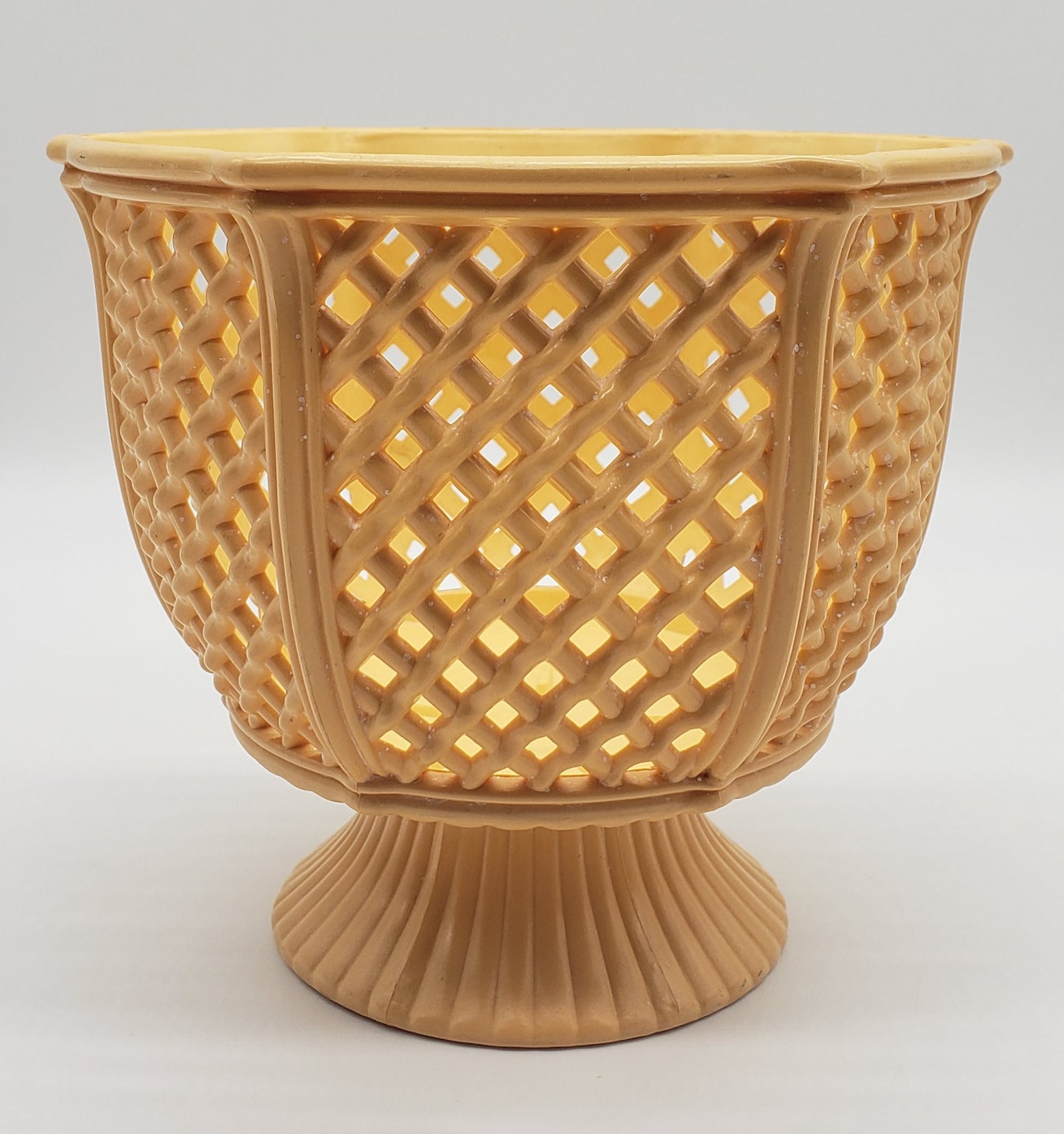 Regaline Decorative Plastic Planter, 301