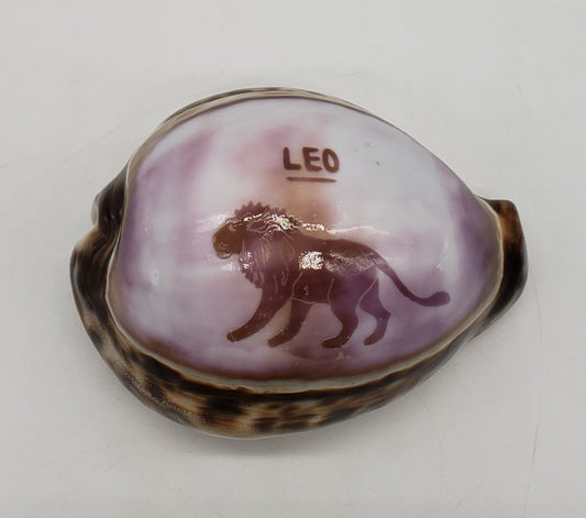 Leo Cowrie Shell