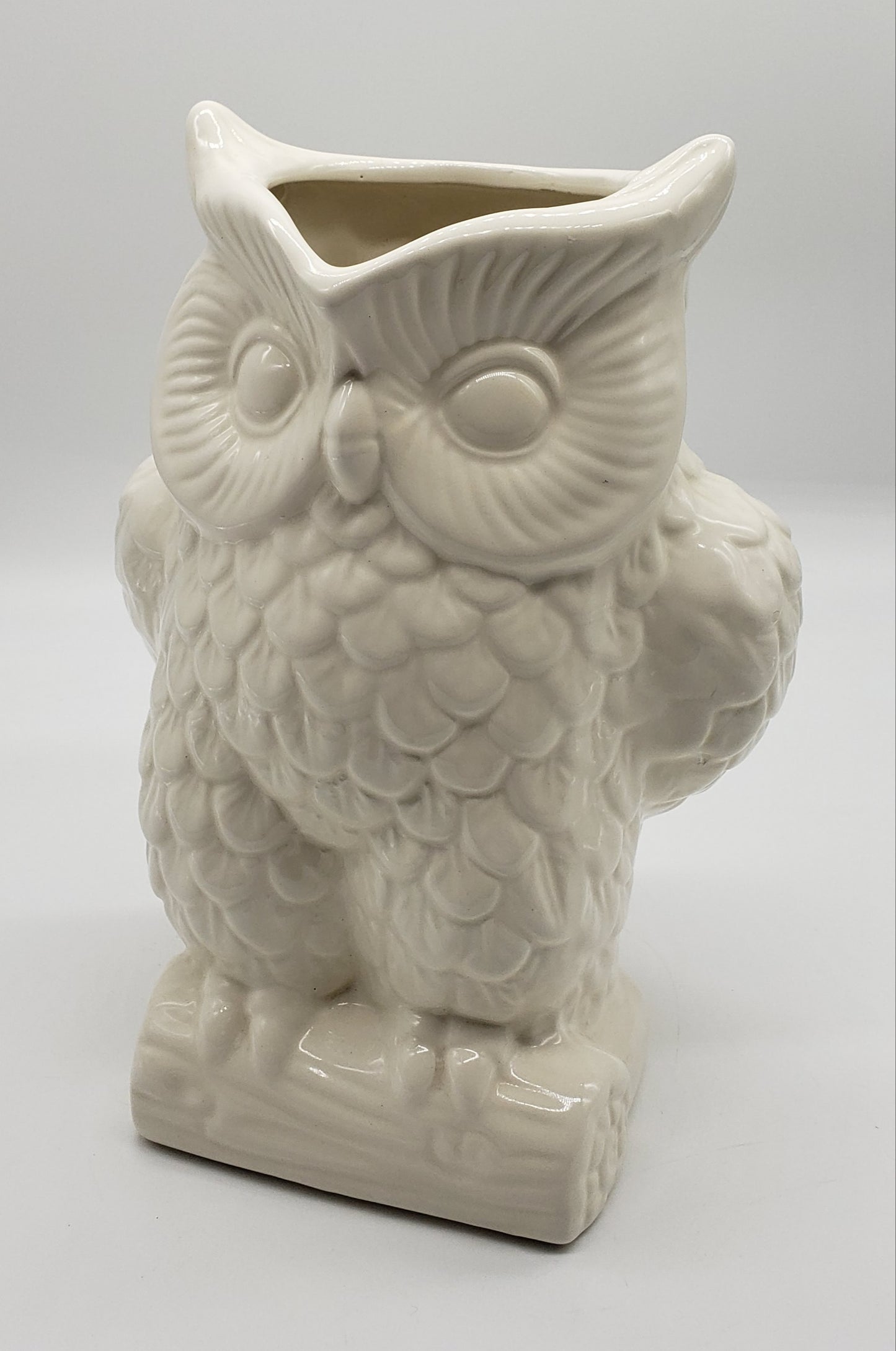 Two's Company Owl Large Pitcher
