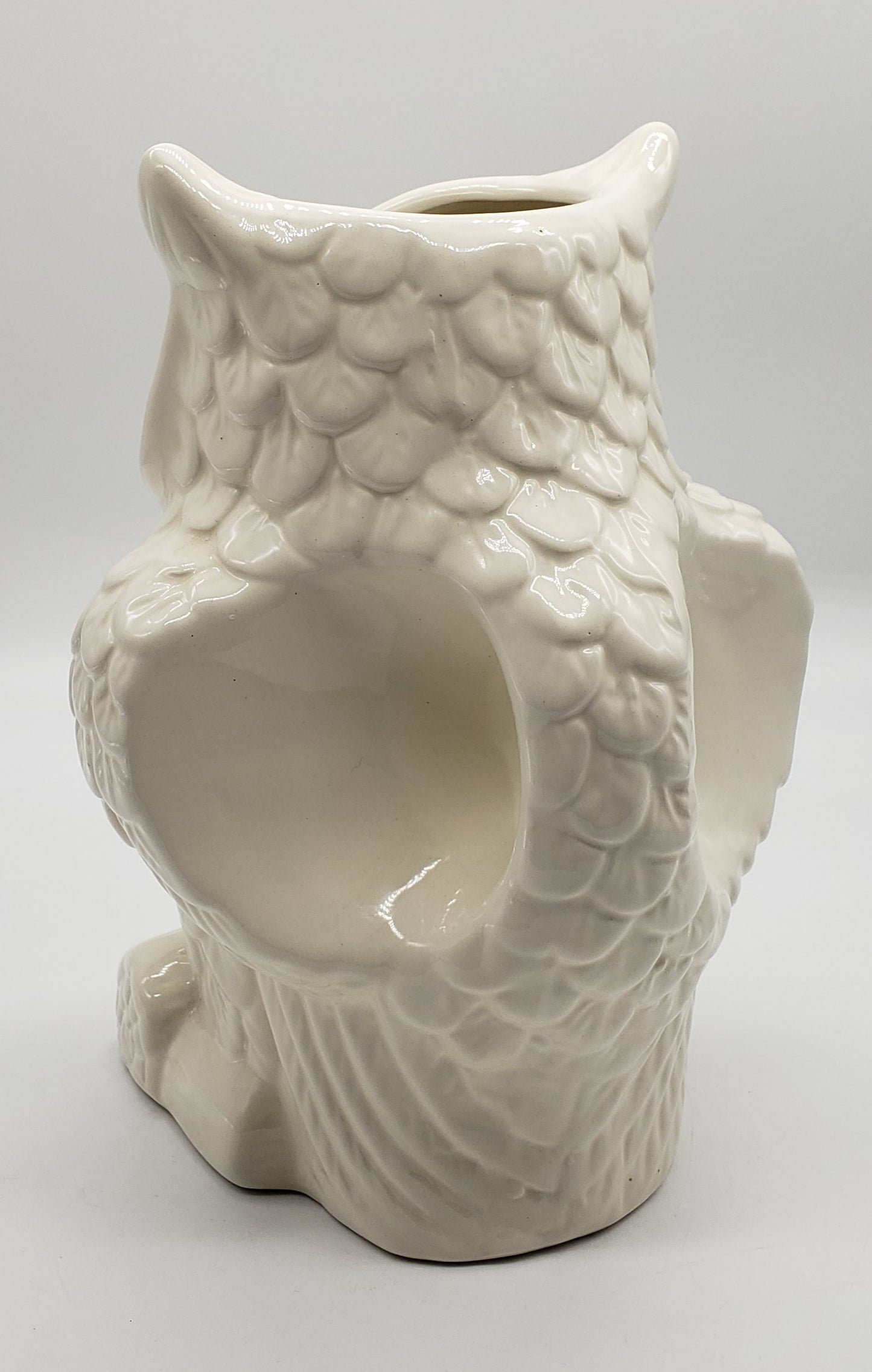Two's Company Owl Large Pitcher
