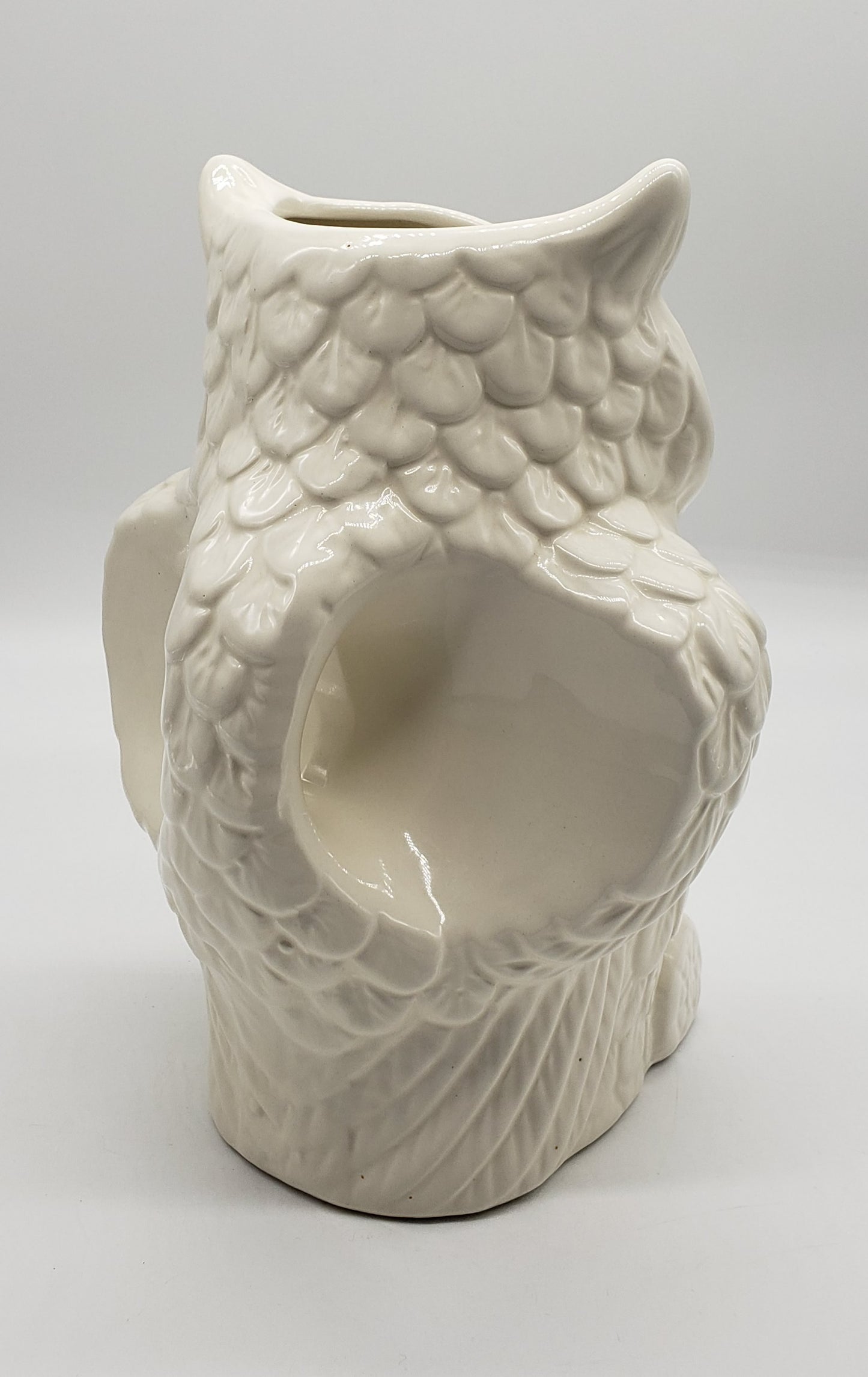 Two's Company Owl Large Pitcher