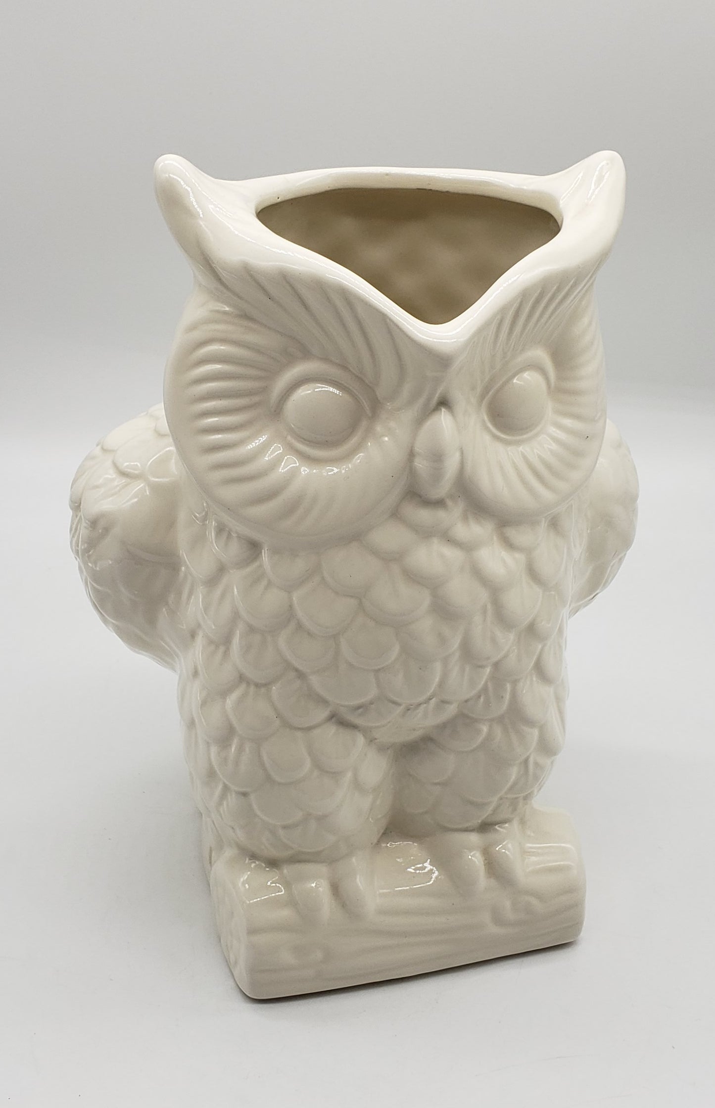 Two's Company Owl Large Pitcher