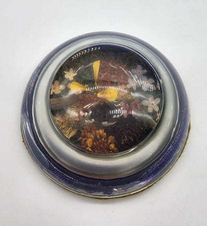 Vintage half dome glass paperweight - plants, flowers, pine cones 3"