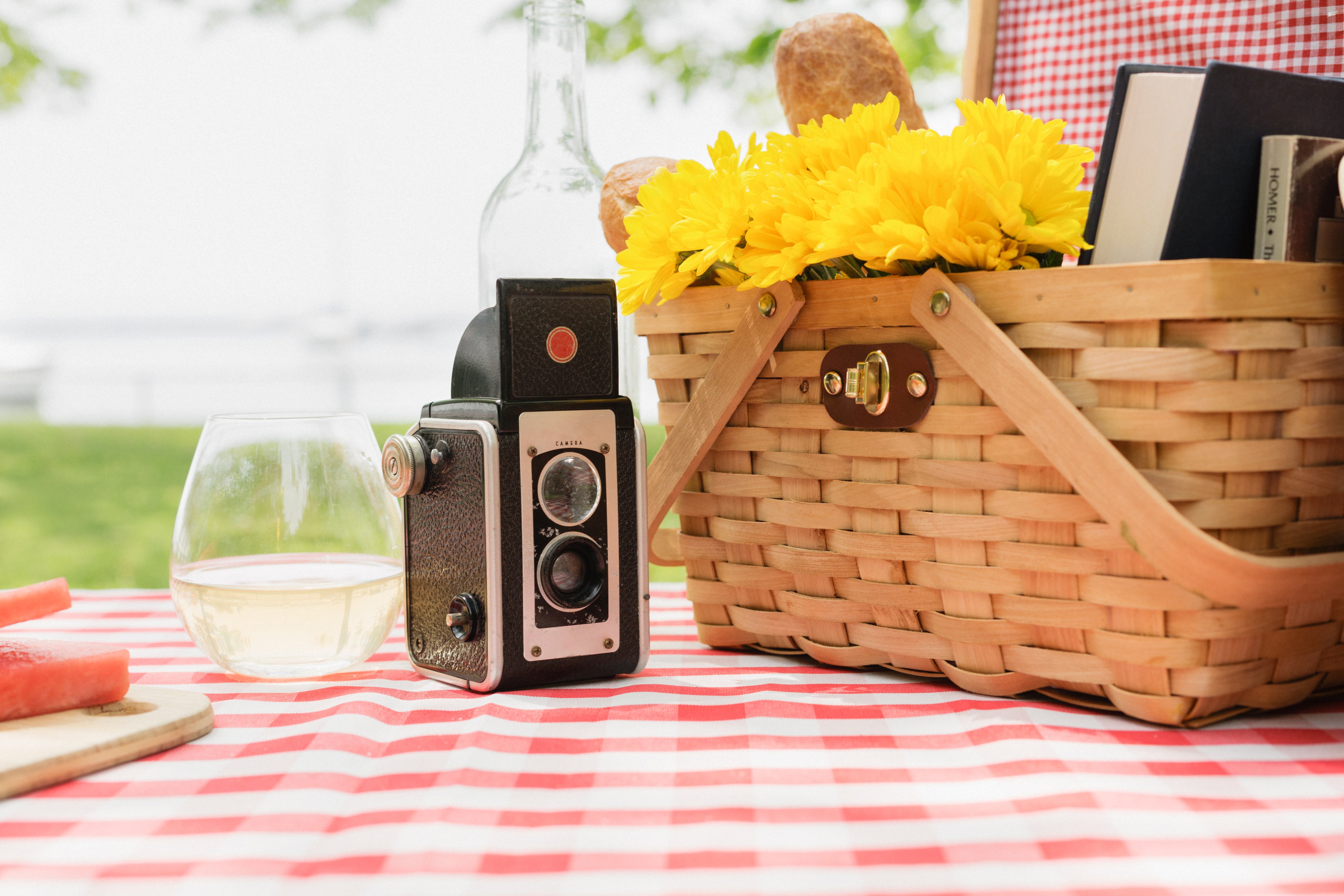 https://pfspeculiarfinds.com/cdn/shop/files/antique-camera-with-picnic-basket-and-wine_4096x.jpg?v=1618853209