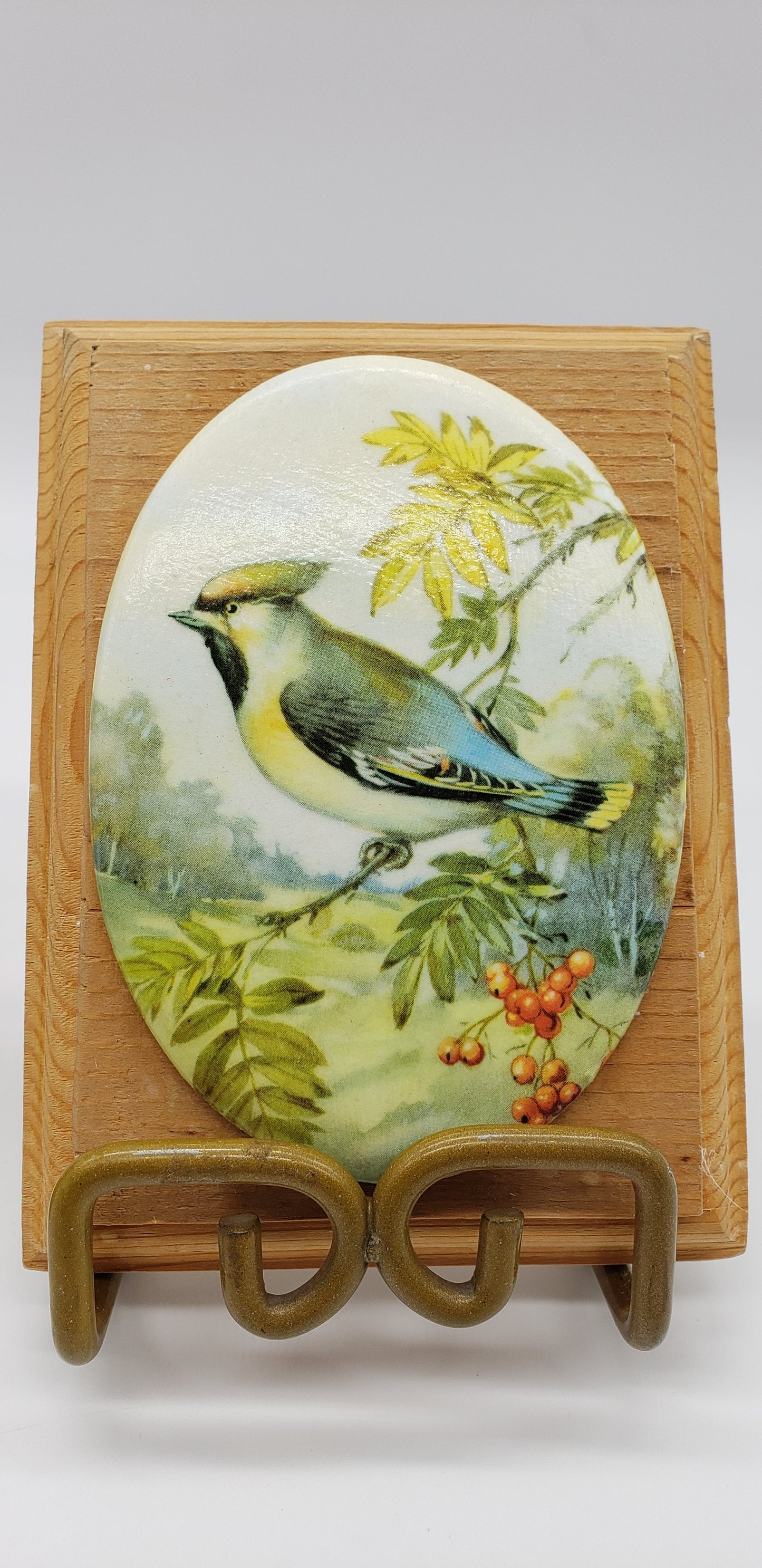 Pair of Oval Bird Wall Plaques on Wood