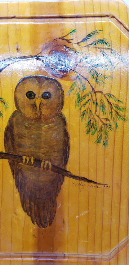 Vintage Owl Wall hanging