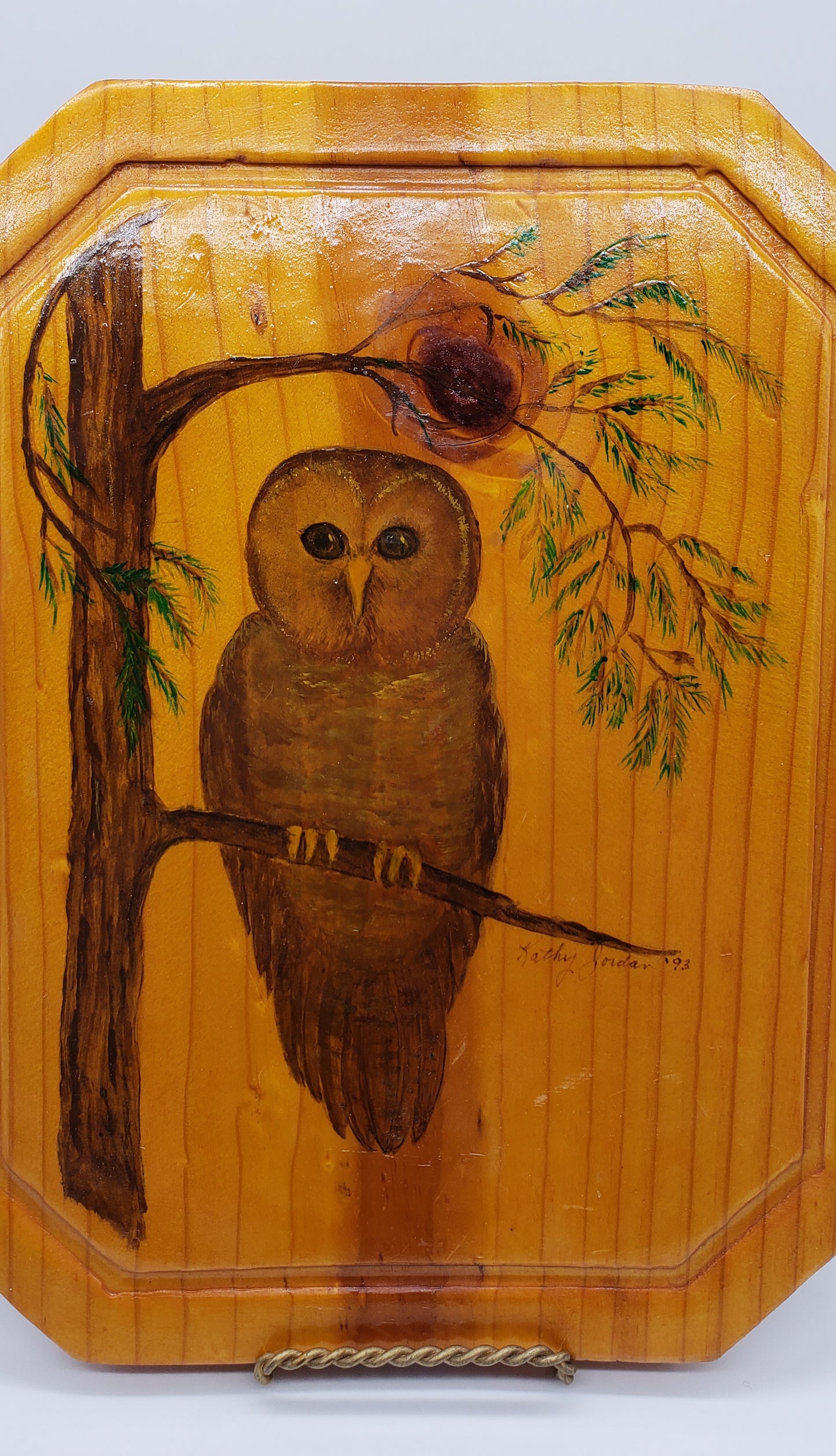 Vintage Owl Wall hanging