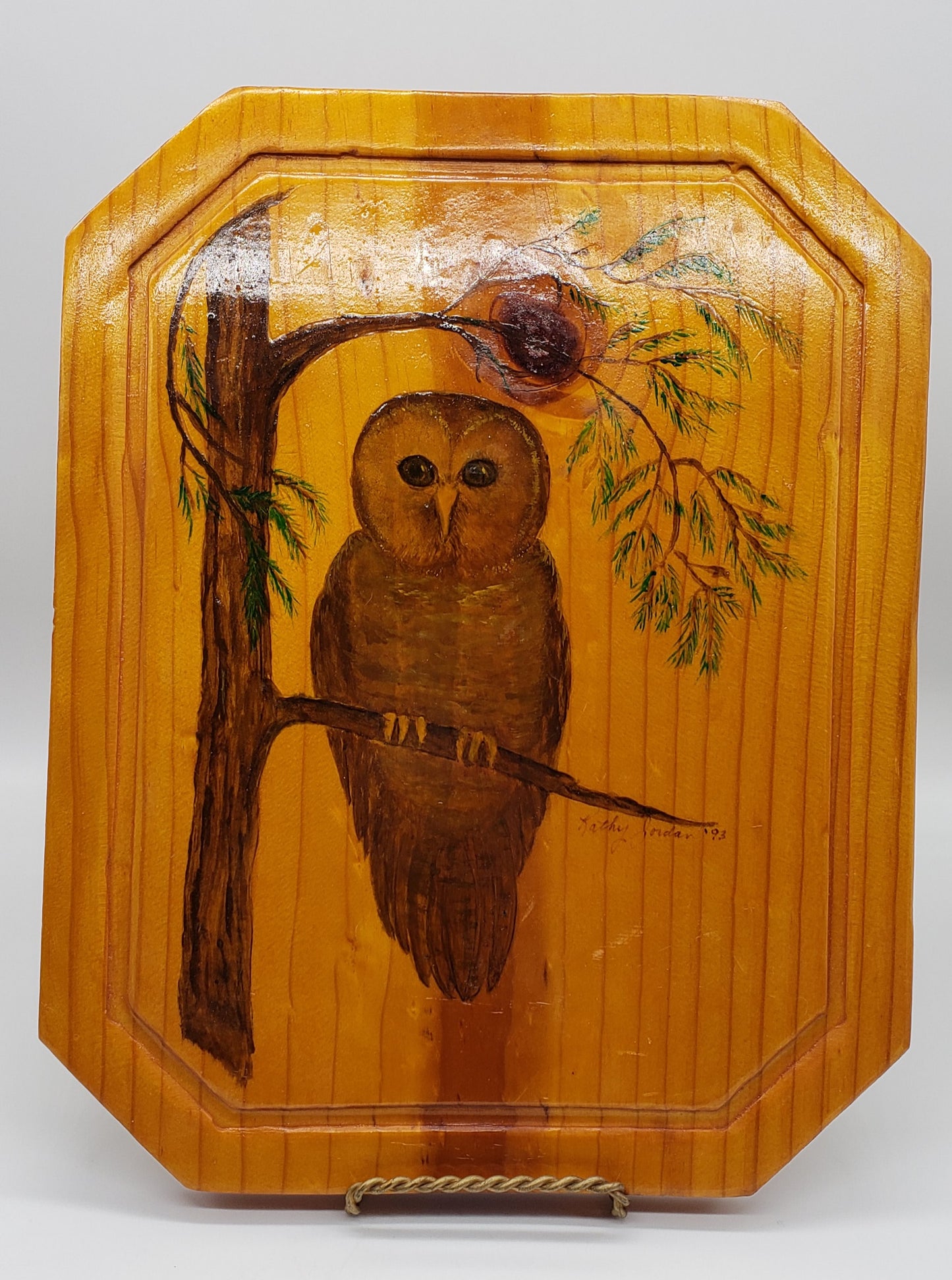 Vintage Owl Wall hanging