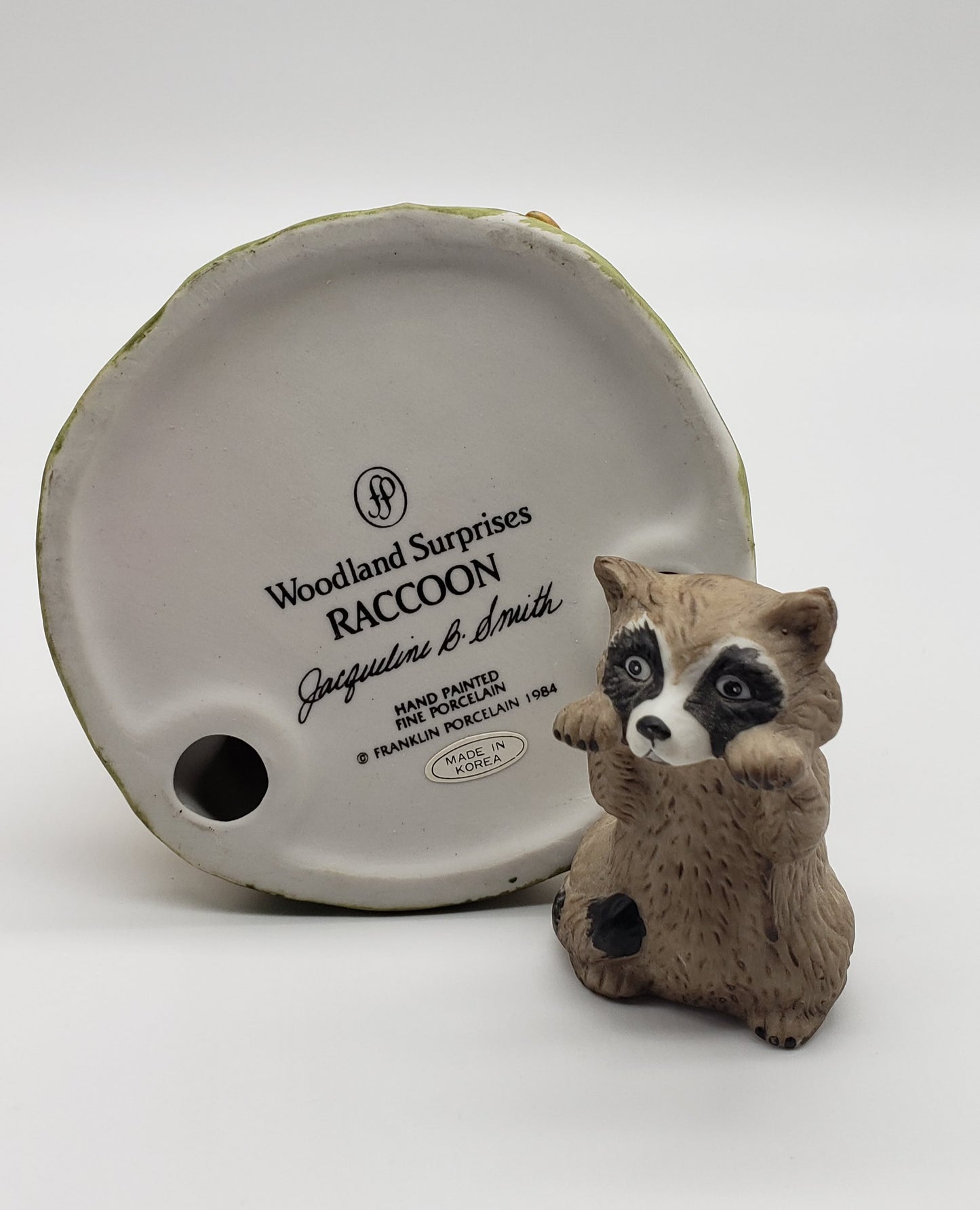 Woodland Surprises - Raccoon