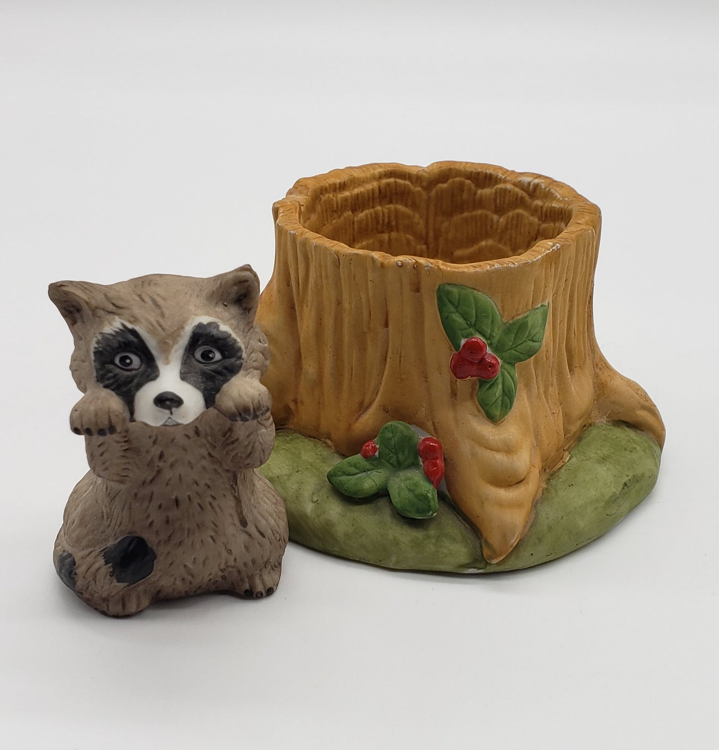 Woodland Surprises - Raccoon