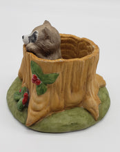 Load image into Gallery viewer, Woodland Surprises - Raccoon
