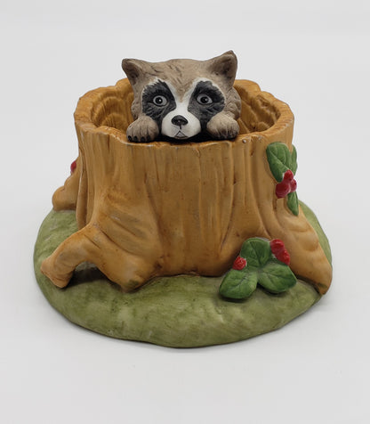 Woodland Surprises - Raccoon