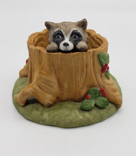 Load image into Gallery viewer, Woodland Surprises - Raccoon
