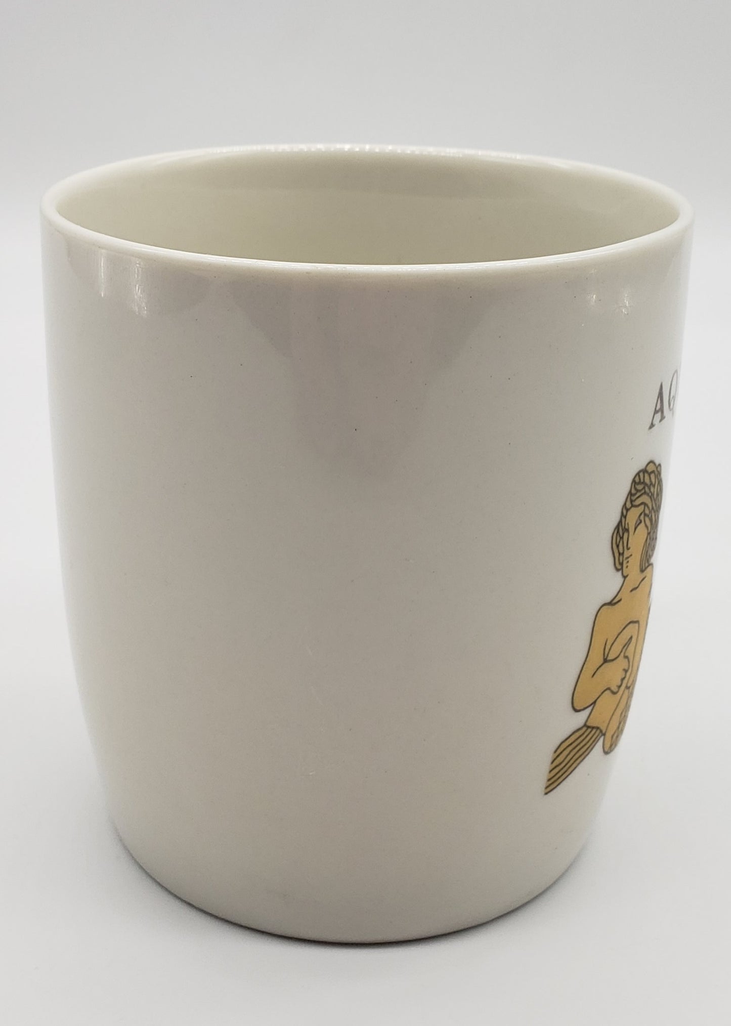 Aquarius Coffee Mug