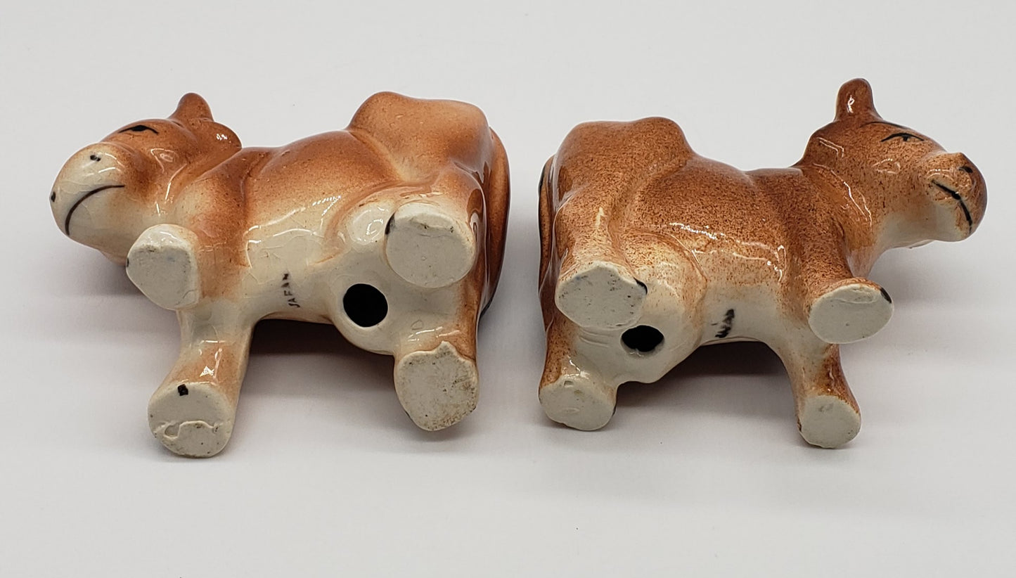 Brown Cow Salt and Pepper Shakers