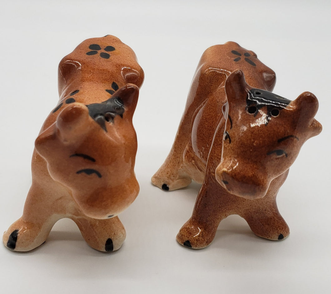 Brown Cow Salt and Pepper Shakers