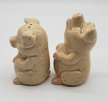 Load image into Gallery viewer, Pigs with closed eyes salt and pepper shakers
