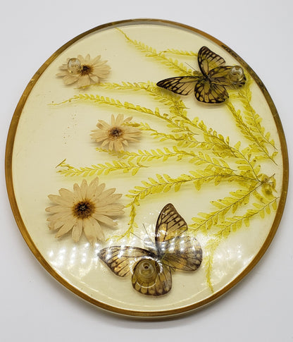 Acrylic Resin Trivet Footed Pressed Flowers With Butterfly Oval