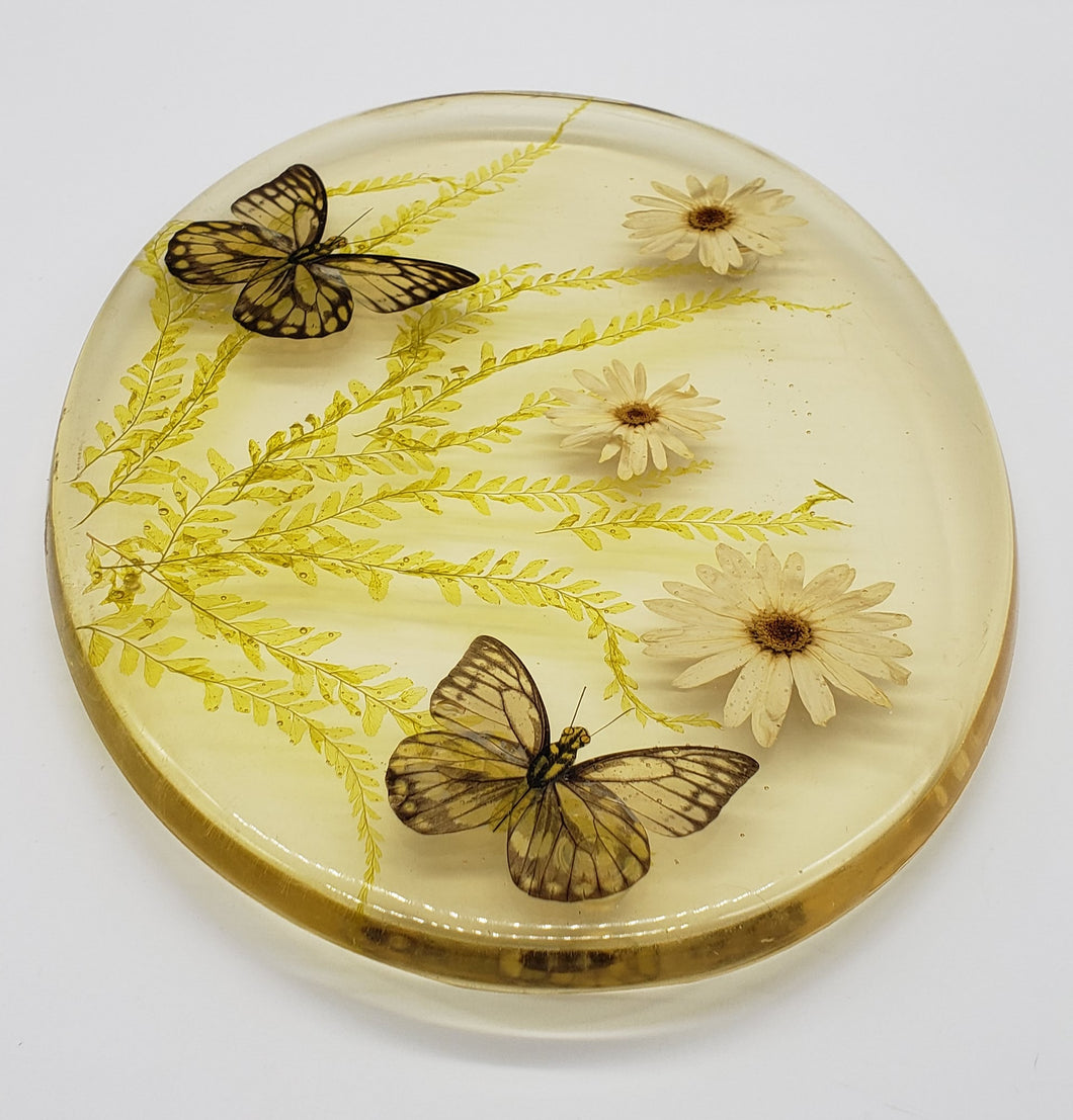 Acrylic Resin Trivet Footed Pressed Flowers With Butterfly Oval