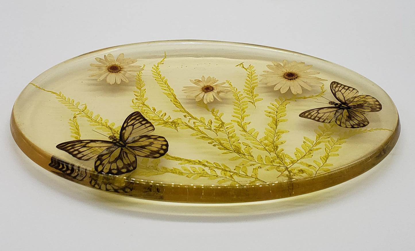 Acrylic Resin Trivet Footed Pressed Flowers With Butterfly Oval