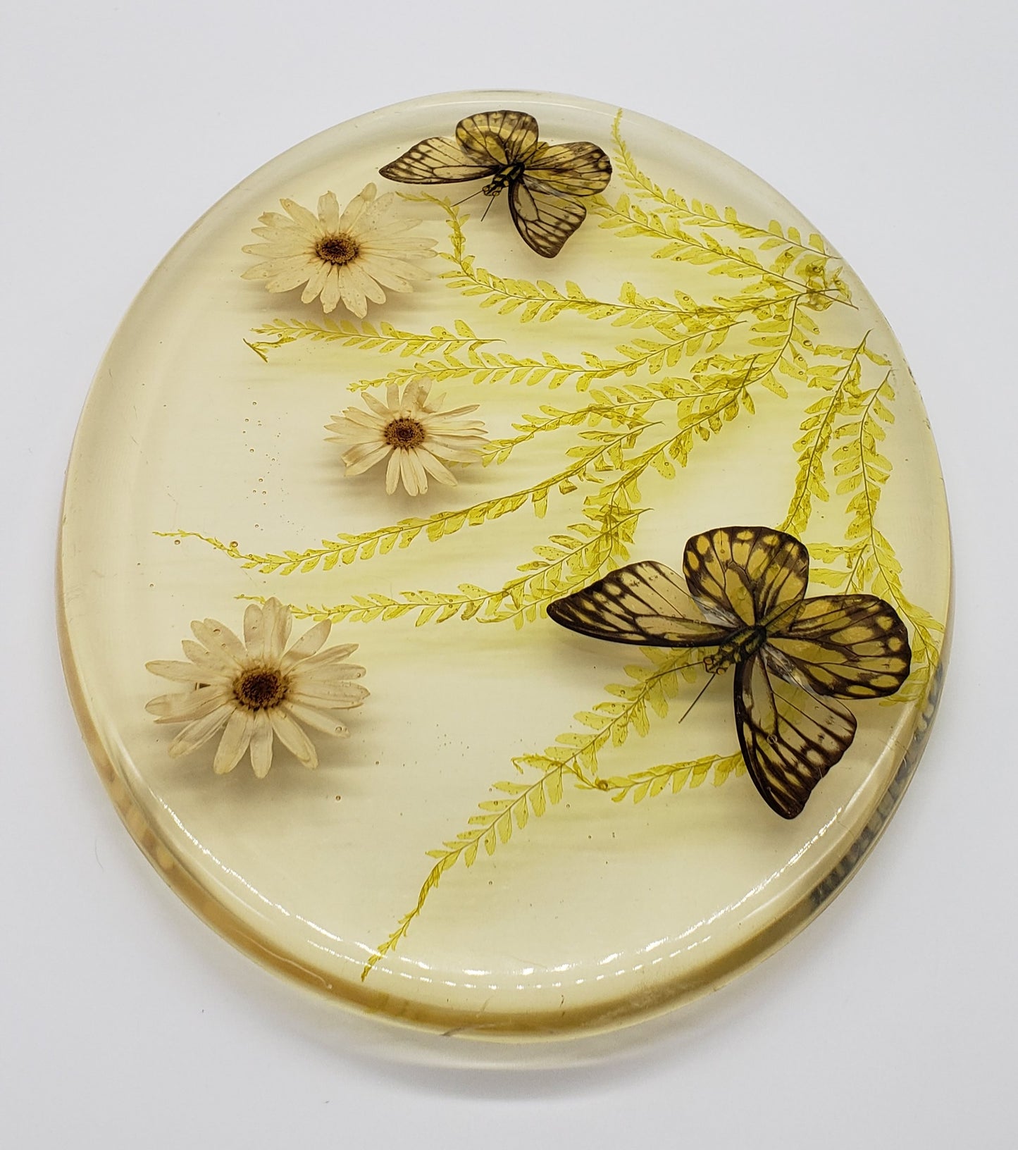 Acrylic Resin Trivet Footed Pressed Flowers With Butterfly Oval