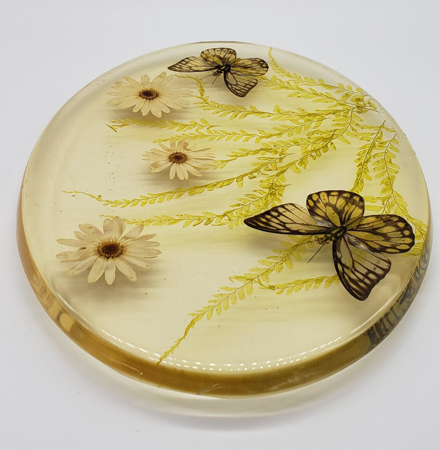 Acrylic Resin Trivet Footed Pressed Flowers With Butterfly Oval