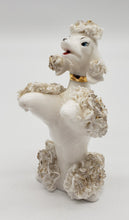 Load image into Gallery viewer, Spaghetti Begging Poodle Figurine
