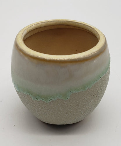 Glazed Ceramic Succulent Plant Pots