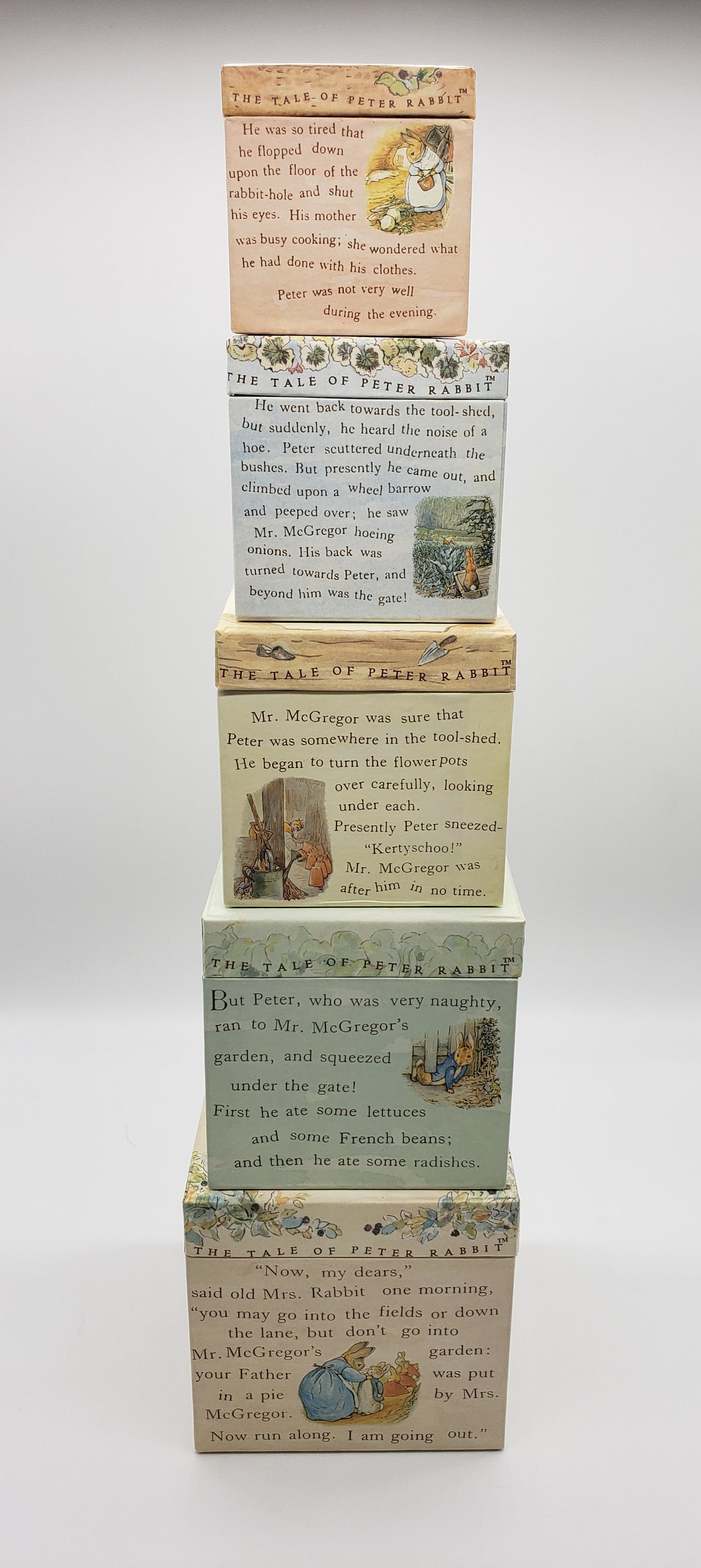 Frederick Warne Peter Rabbit Nesting Boxes (set of 5)