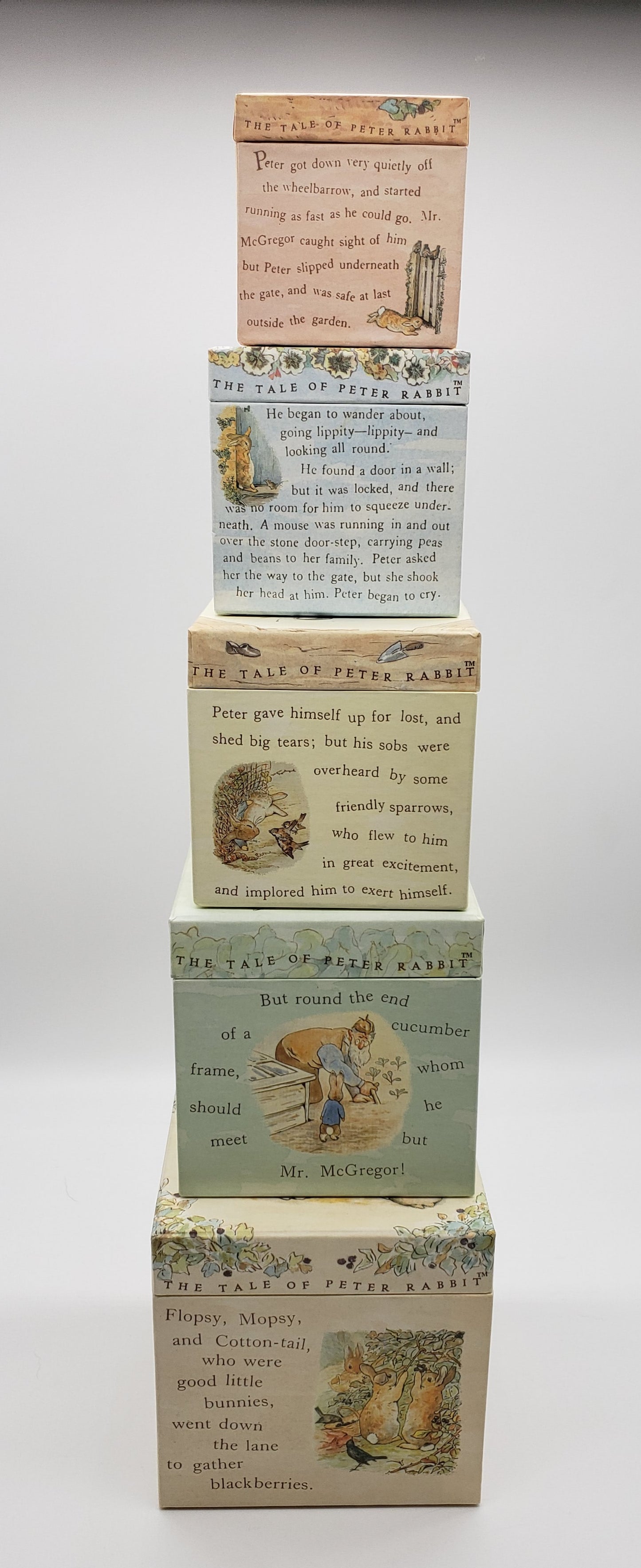 Frederick Warne Peter Rabbit Nesting Boxes (set of 5)