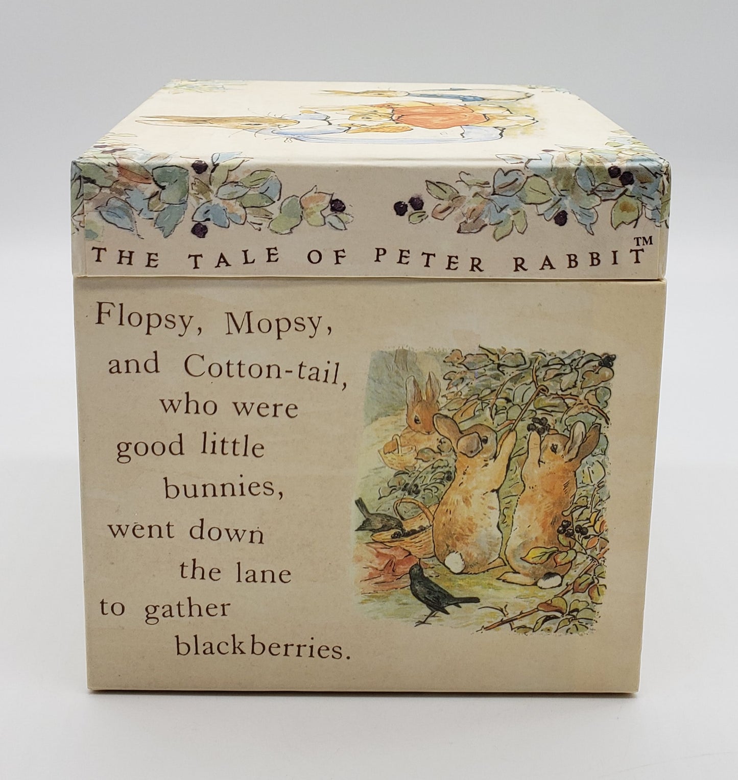 Frederick Warne Peter Rabbit Nesting Boxes (set of 5)