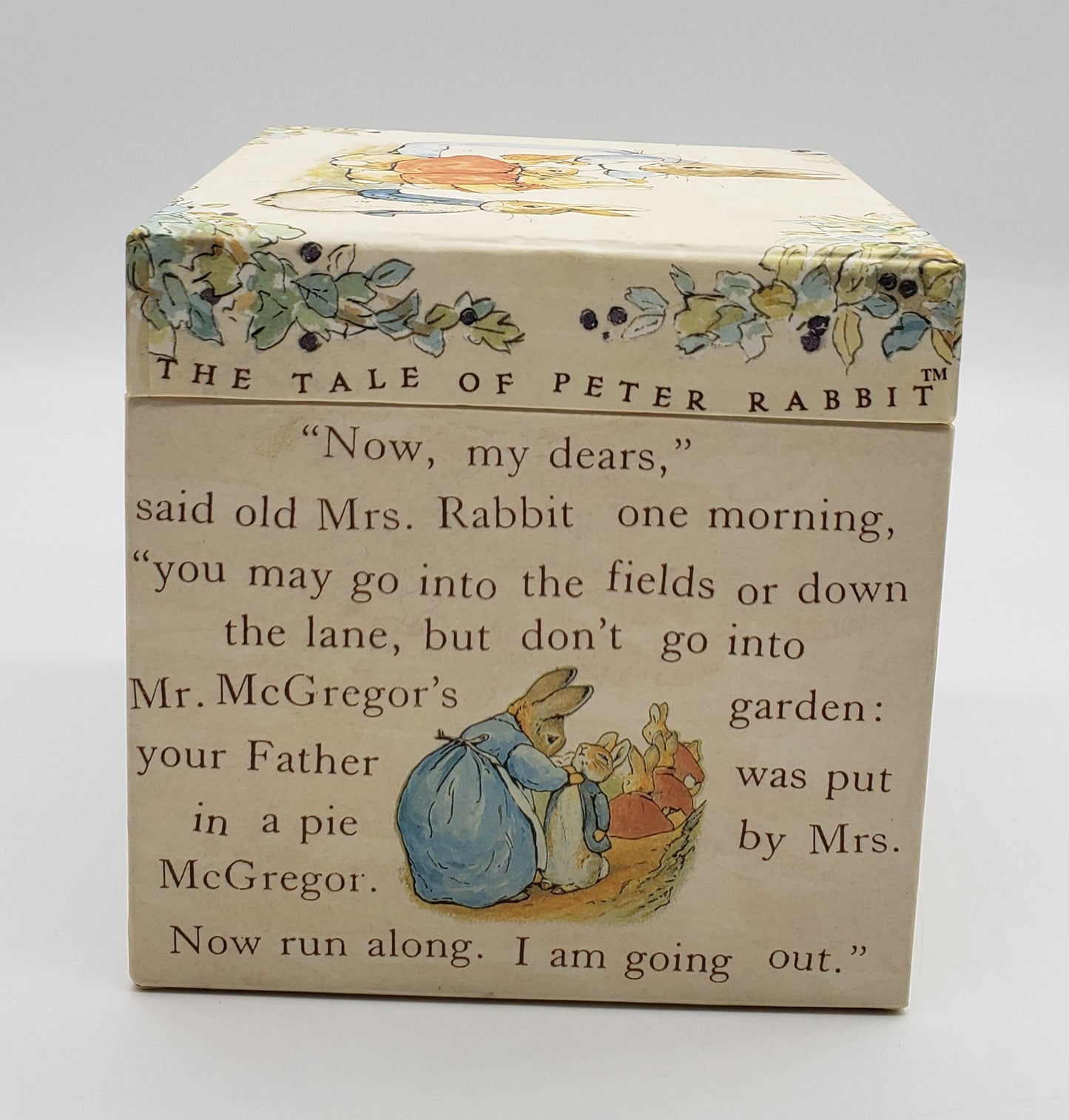 Frederick Warne Peter Rabbit Nesting Boxes (set of 5)