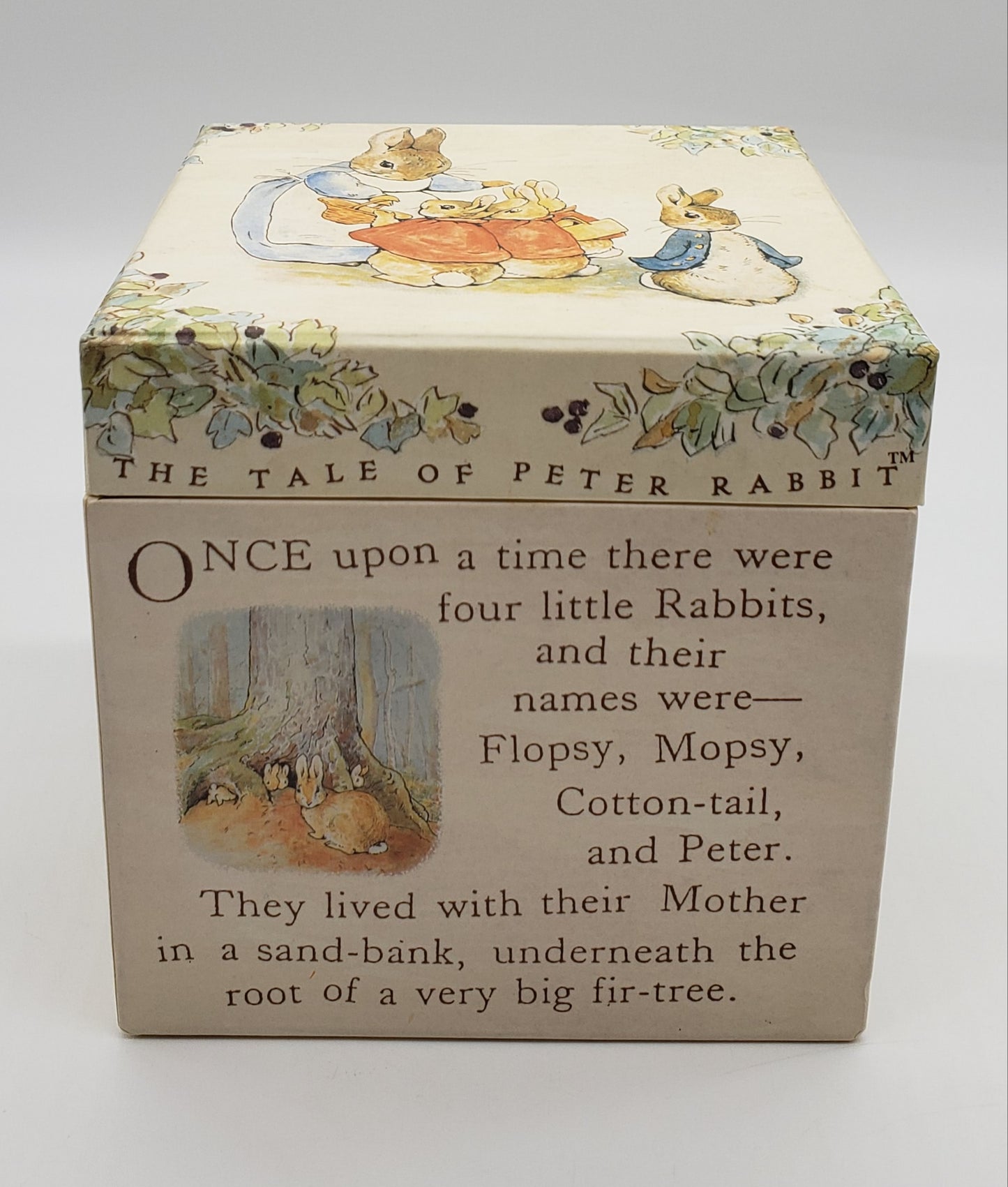 Frederick Warne Peter Rabbit Nesting Boxes (set of 5)