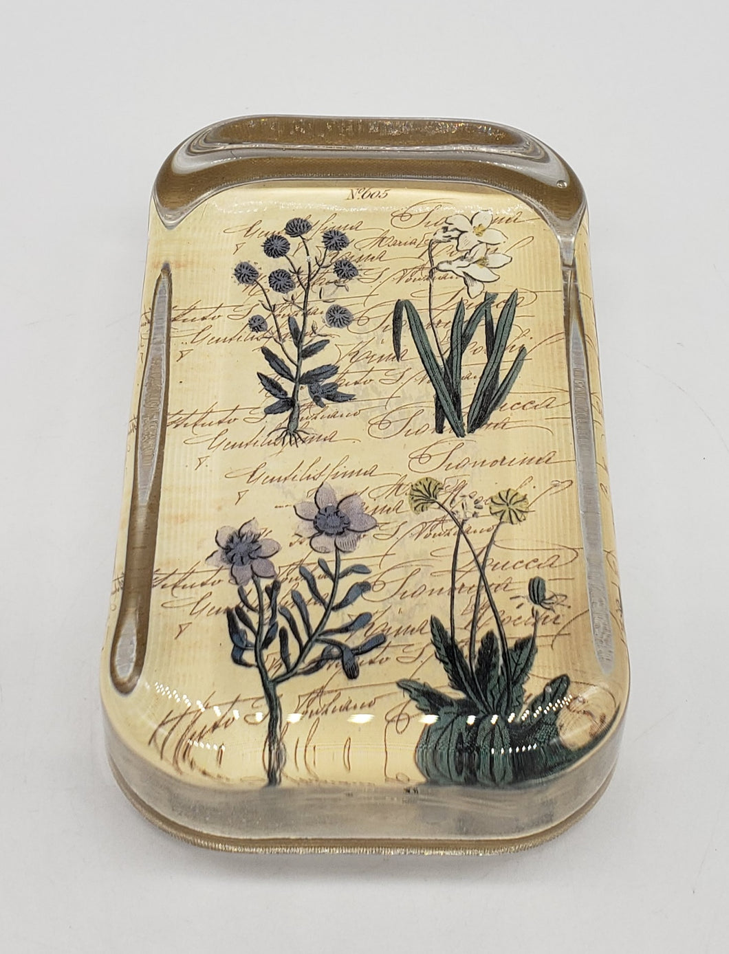 Botanical Rectangular Domed Paperweight - No. 605 - Floral Paperweight - Vintage Glass Paperweight