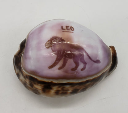 Leo Cowrie Shell