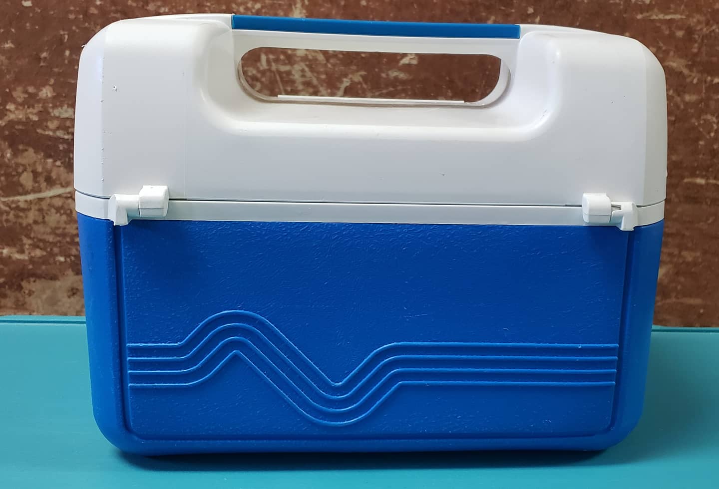 Retro Coleman PAK Lunch Box Cooler