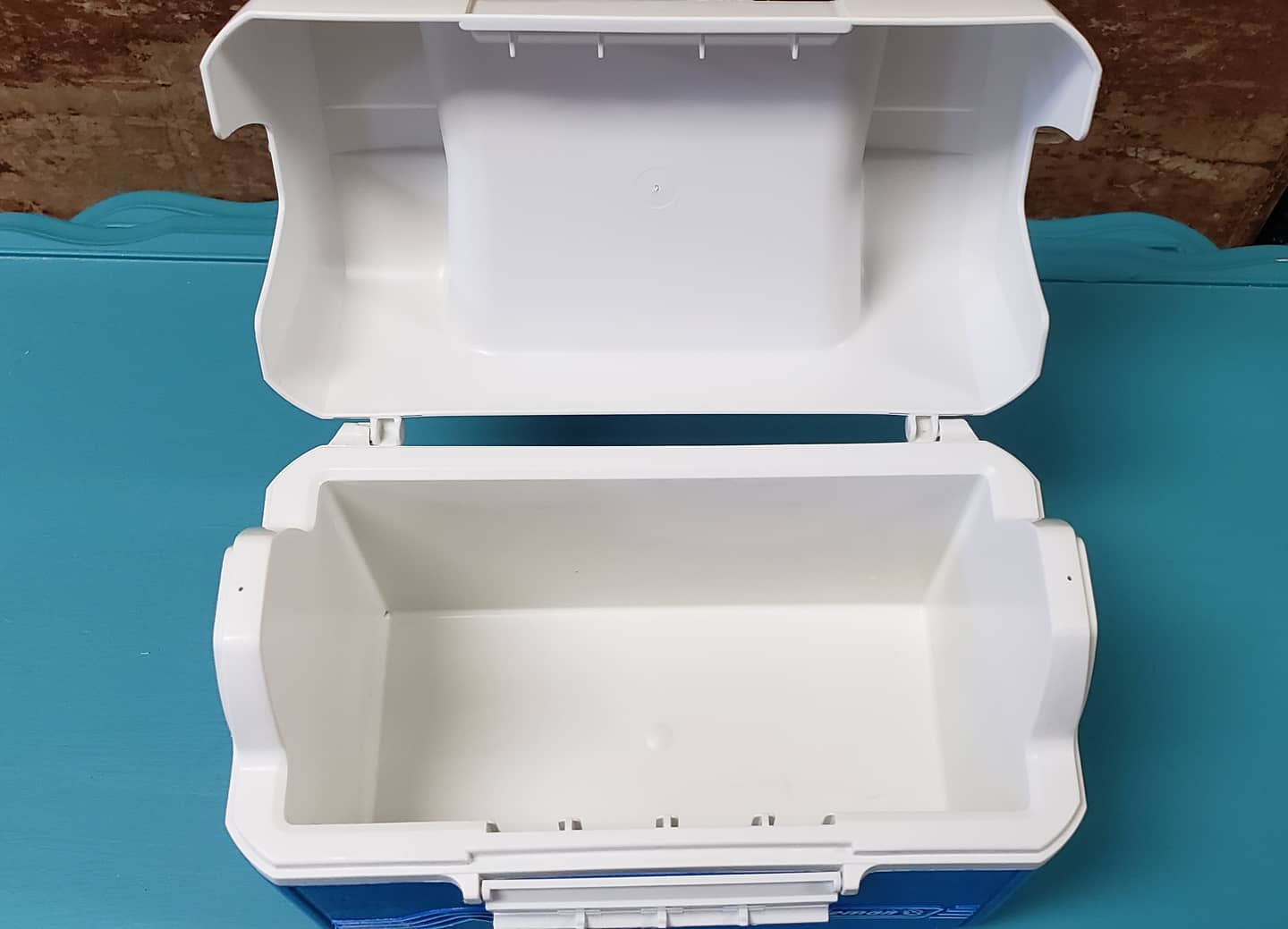 Retro Coleman PAK Lunch Box Cooler